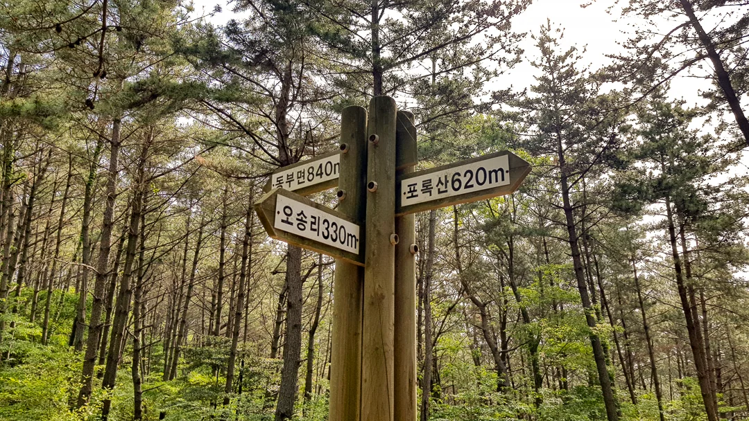 20190508_085148.jpg