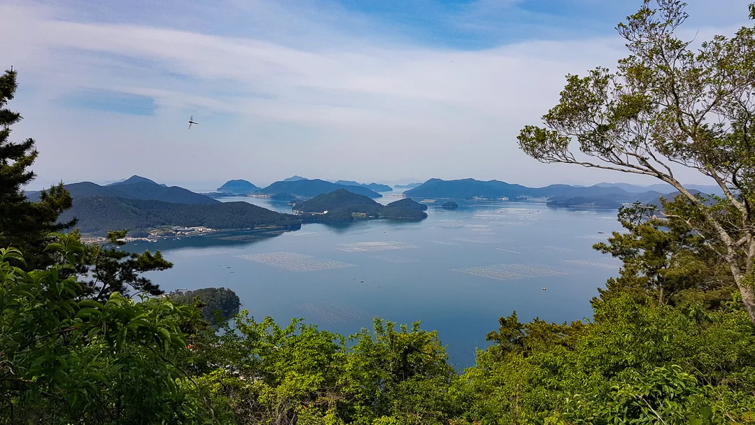 20190508_091201.jpg