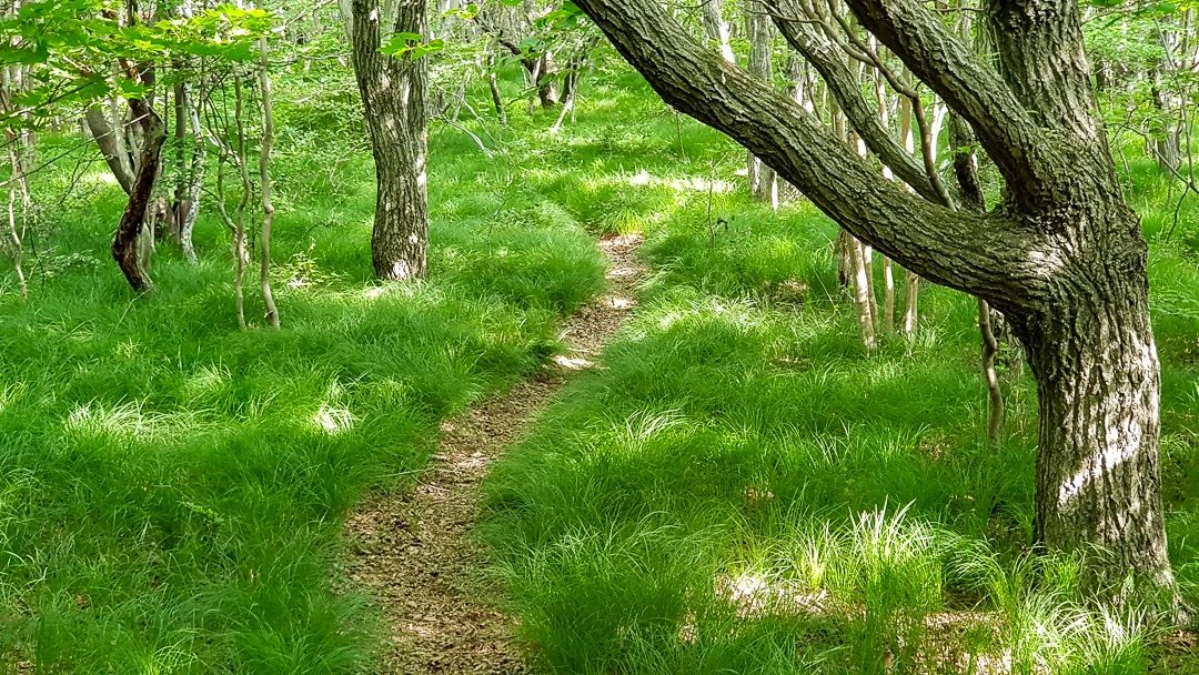 20190515_085439.jpg
