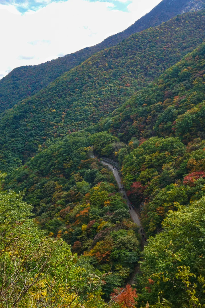 Looking back at the access utility road - Fall 2017