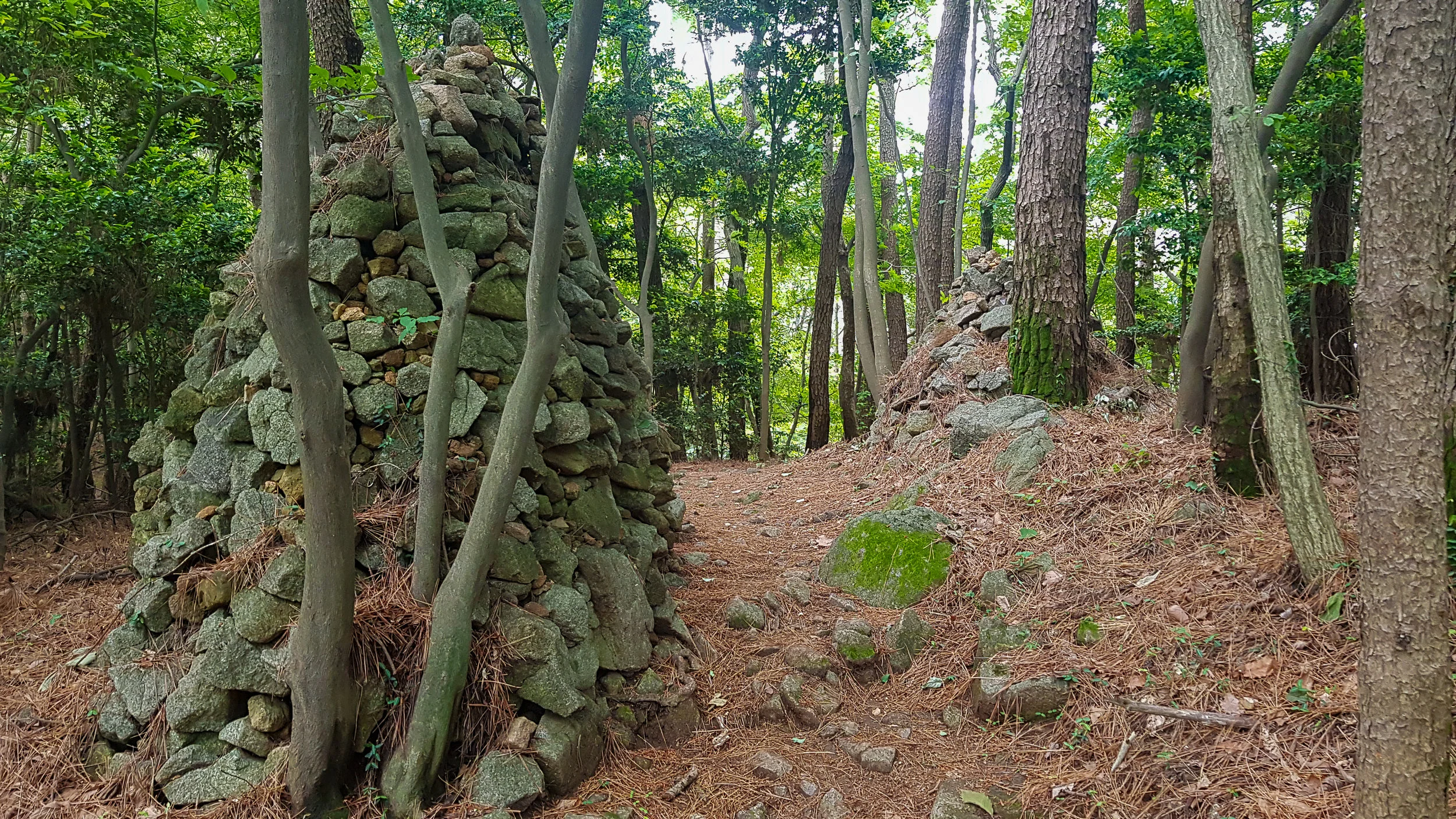 Go left at these rocks.