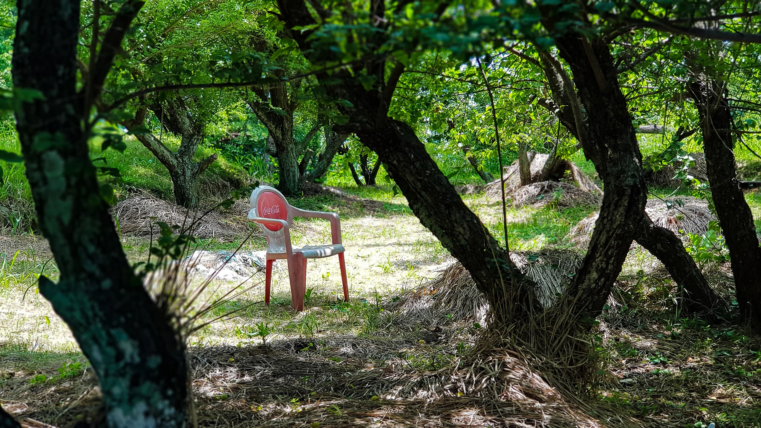 A resting spot in the “inland” gardens.
