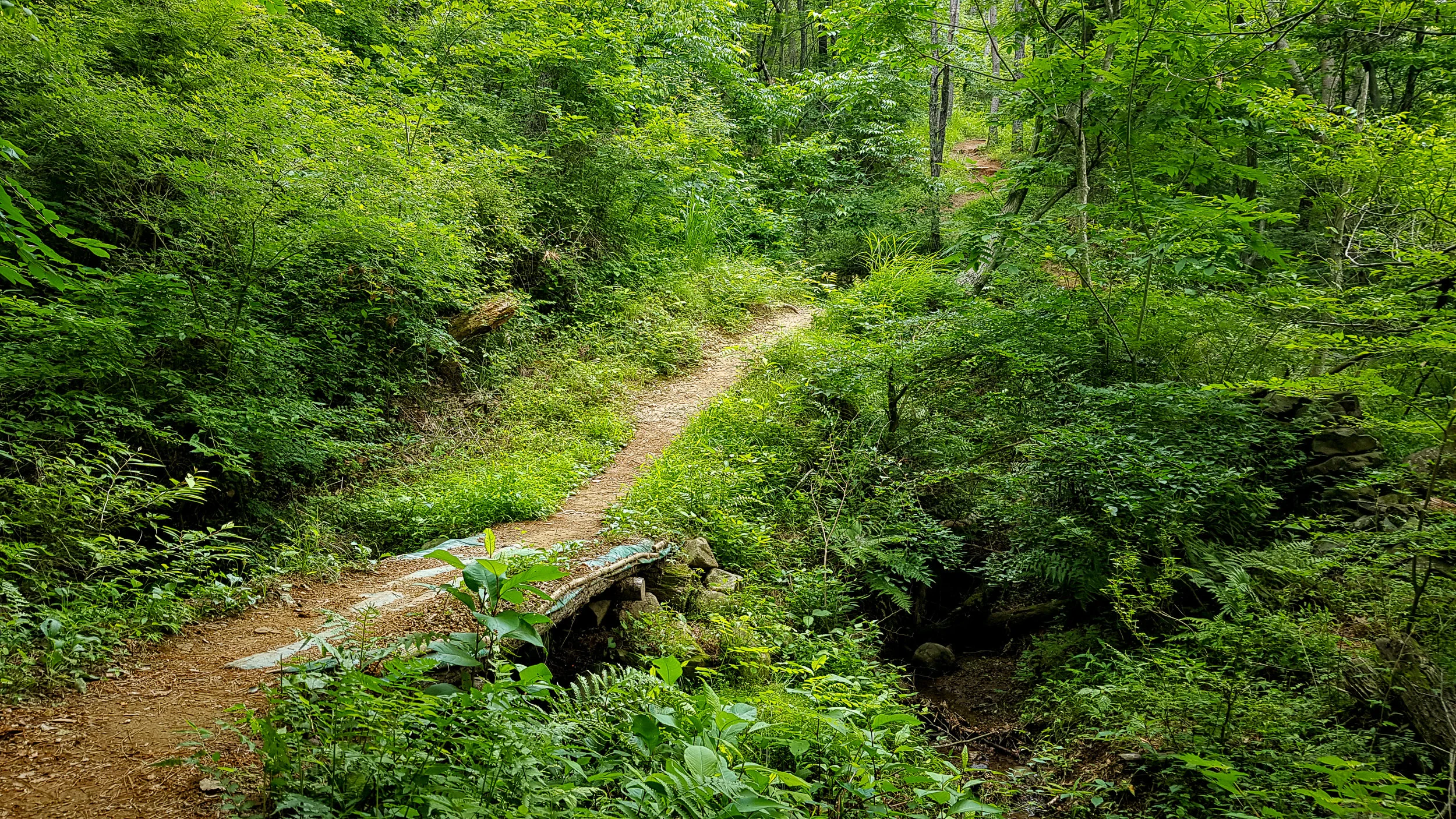 20190614_090112.jpg