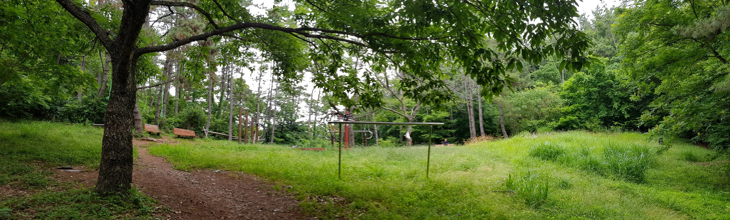 The main gym area.