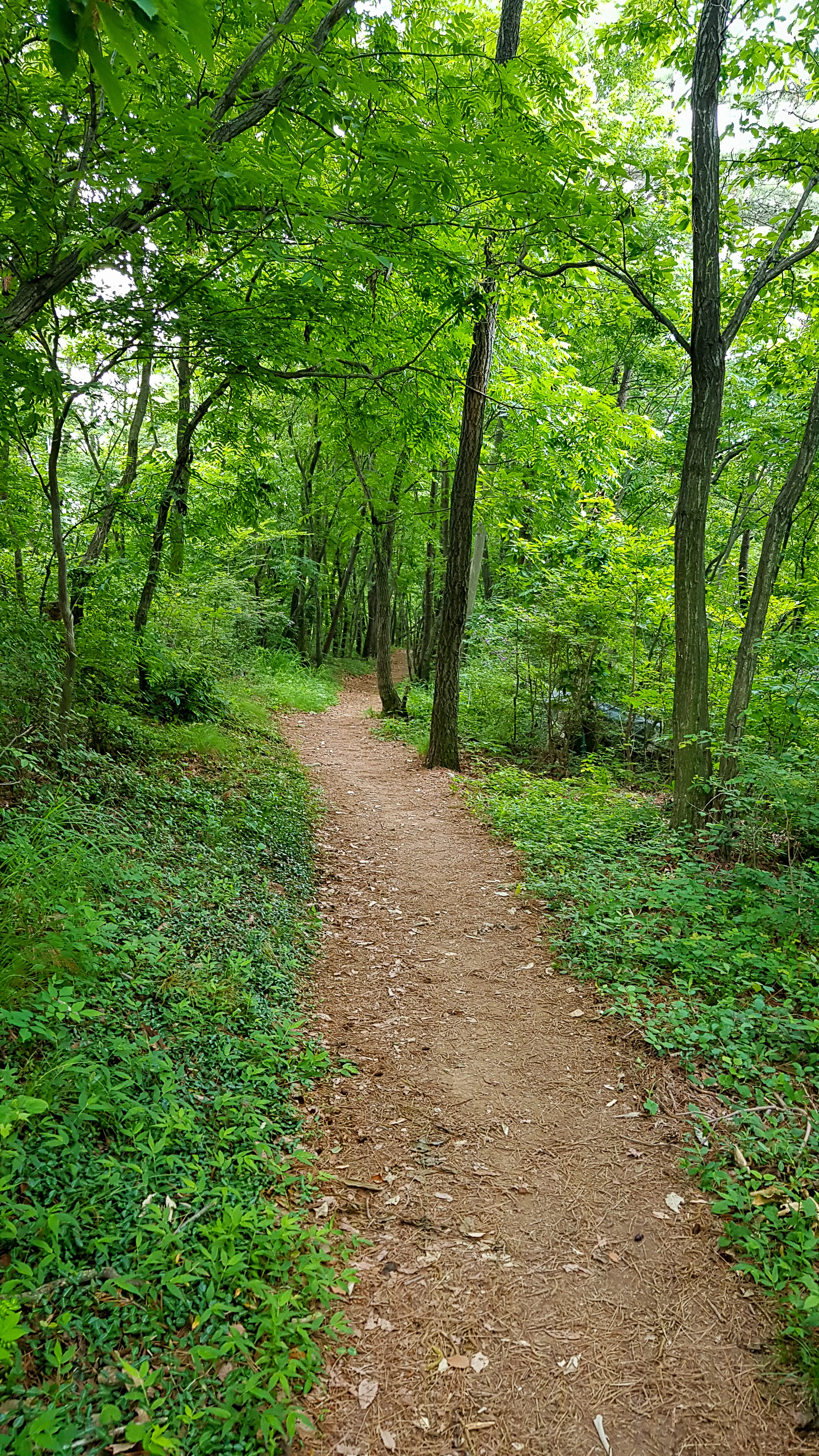 20190614_102500.jpg