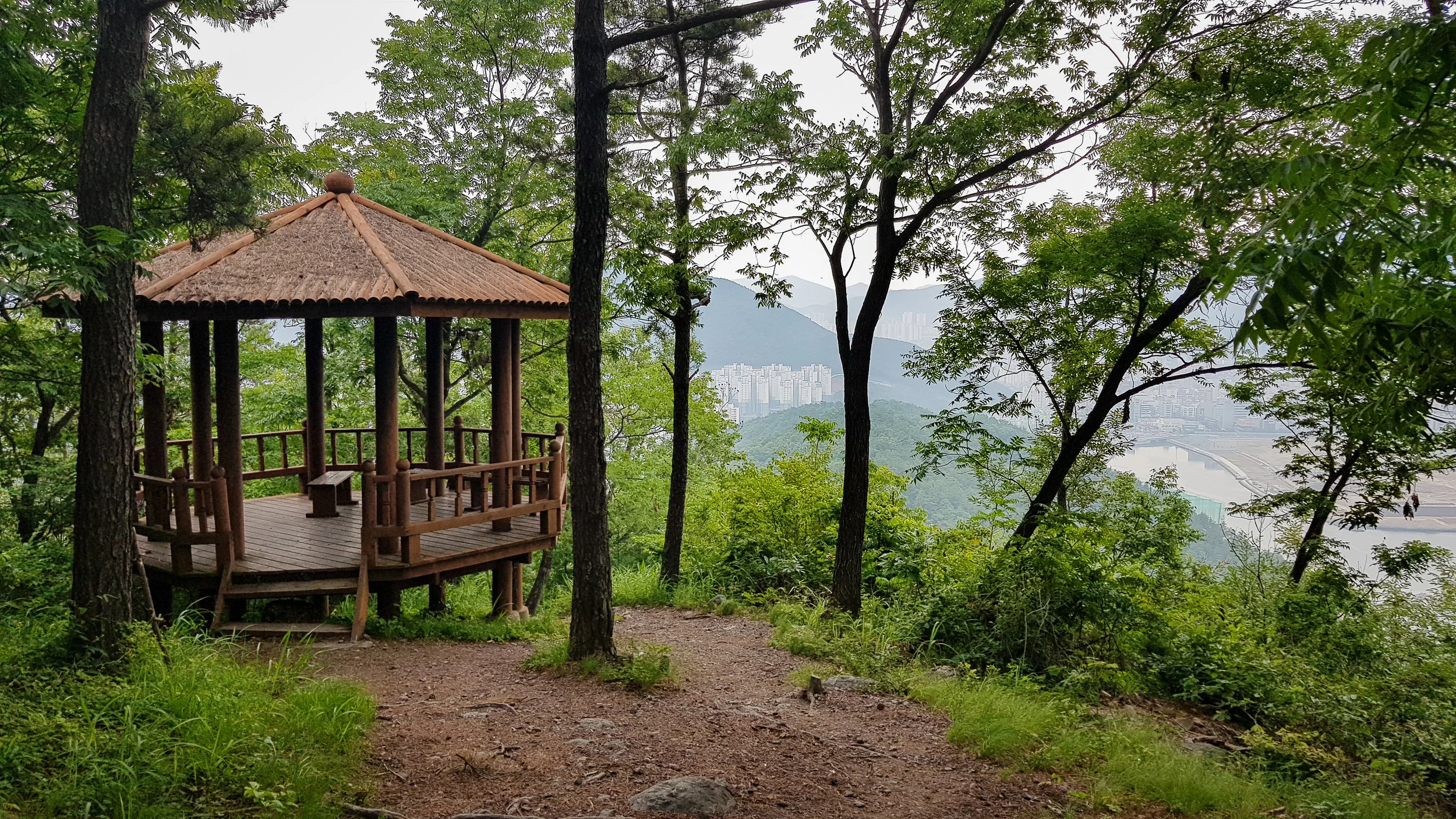 20190614_103014.jpg