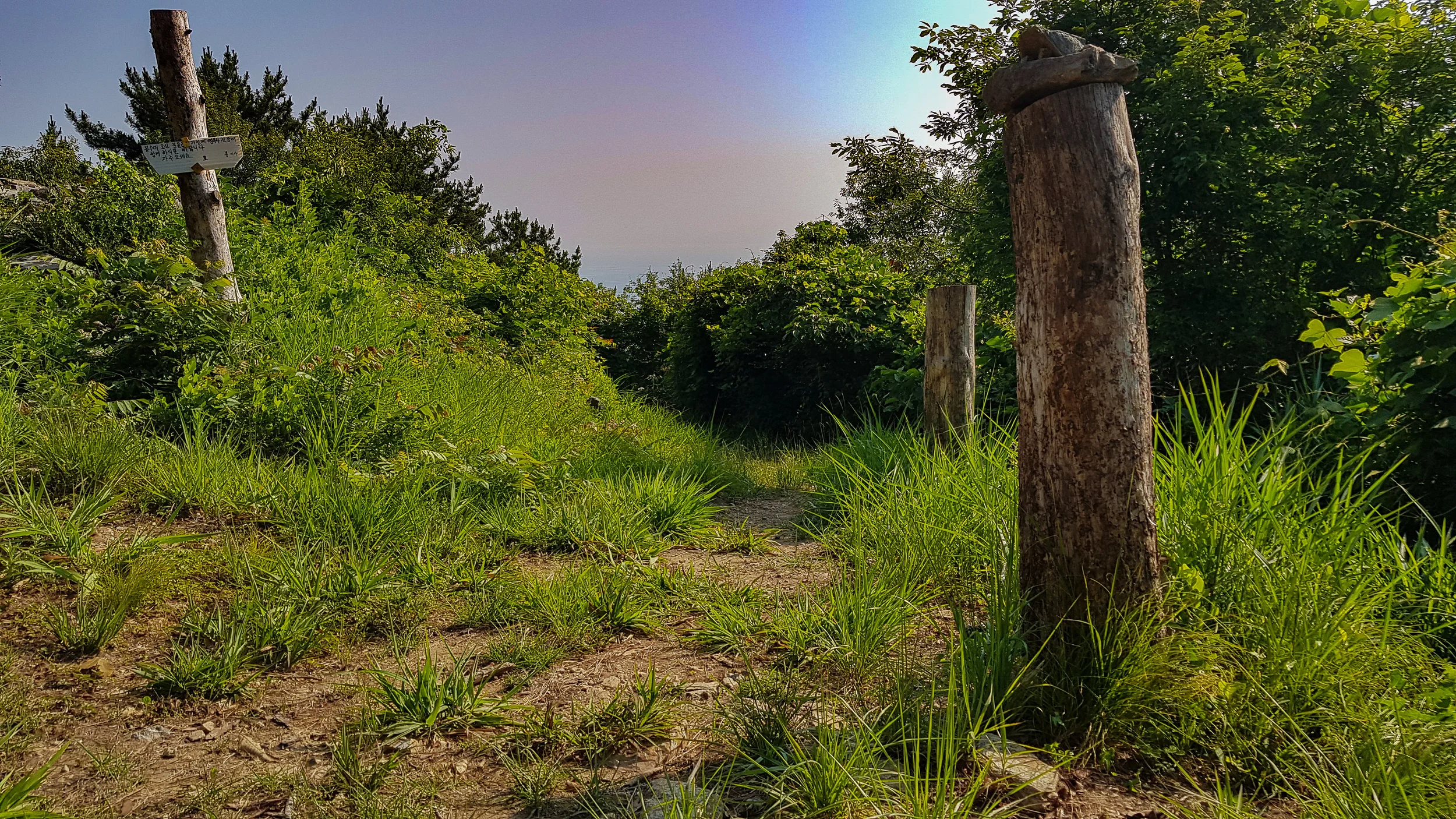20190625_082016.jpg