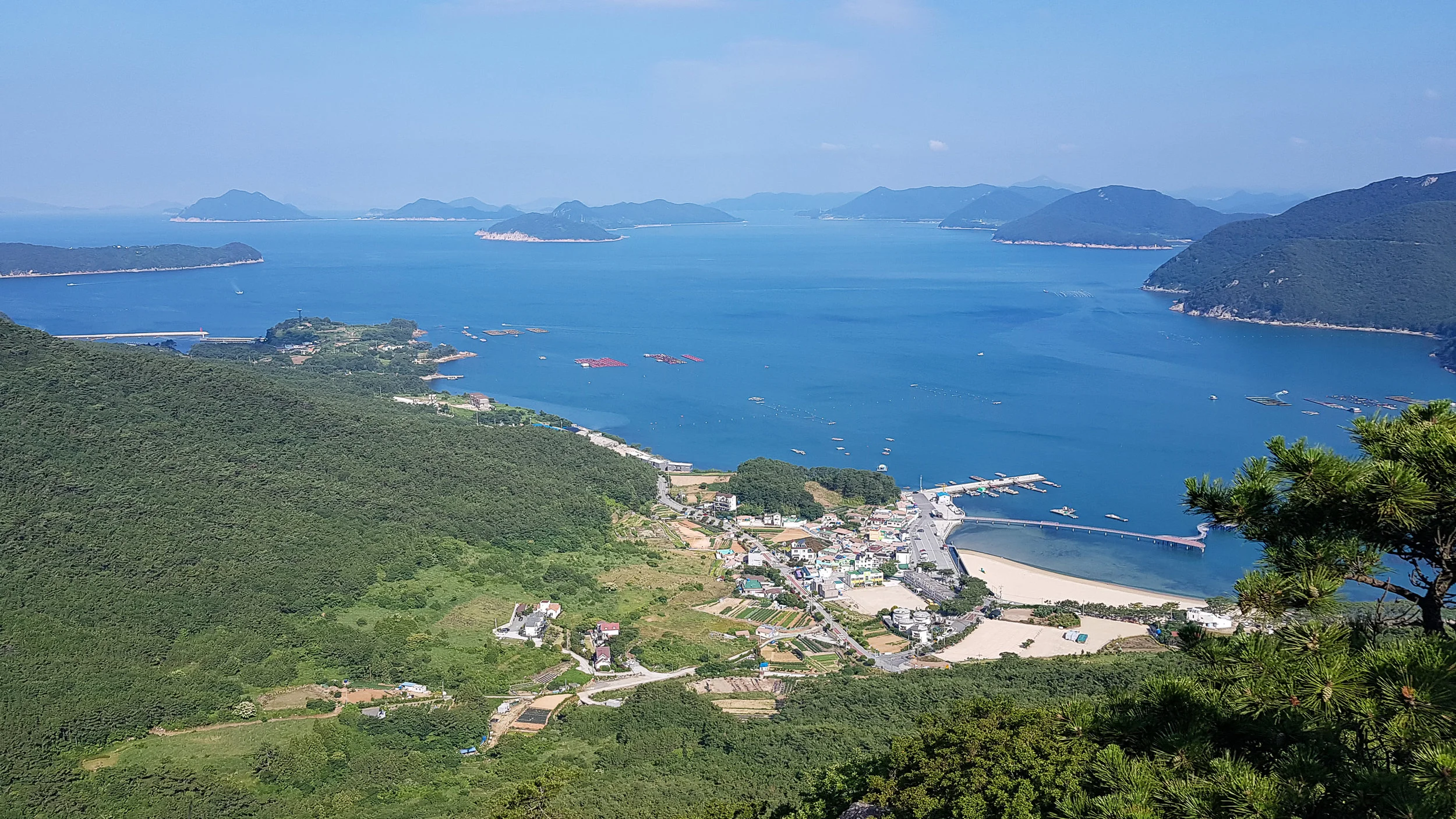 20190623_082214.jpg