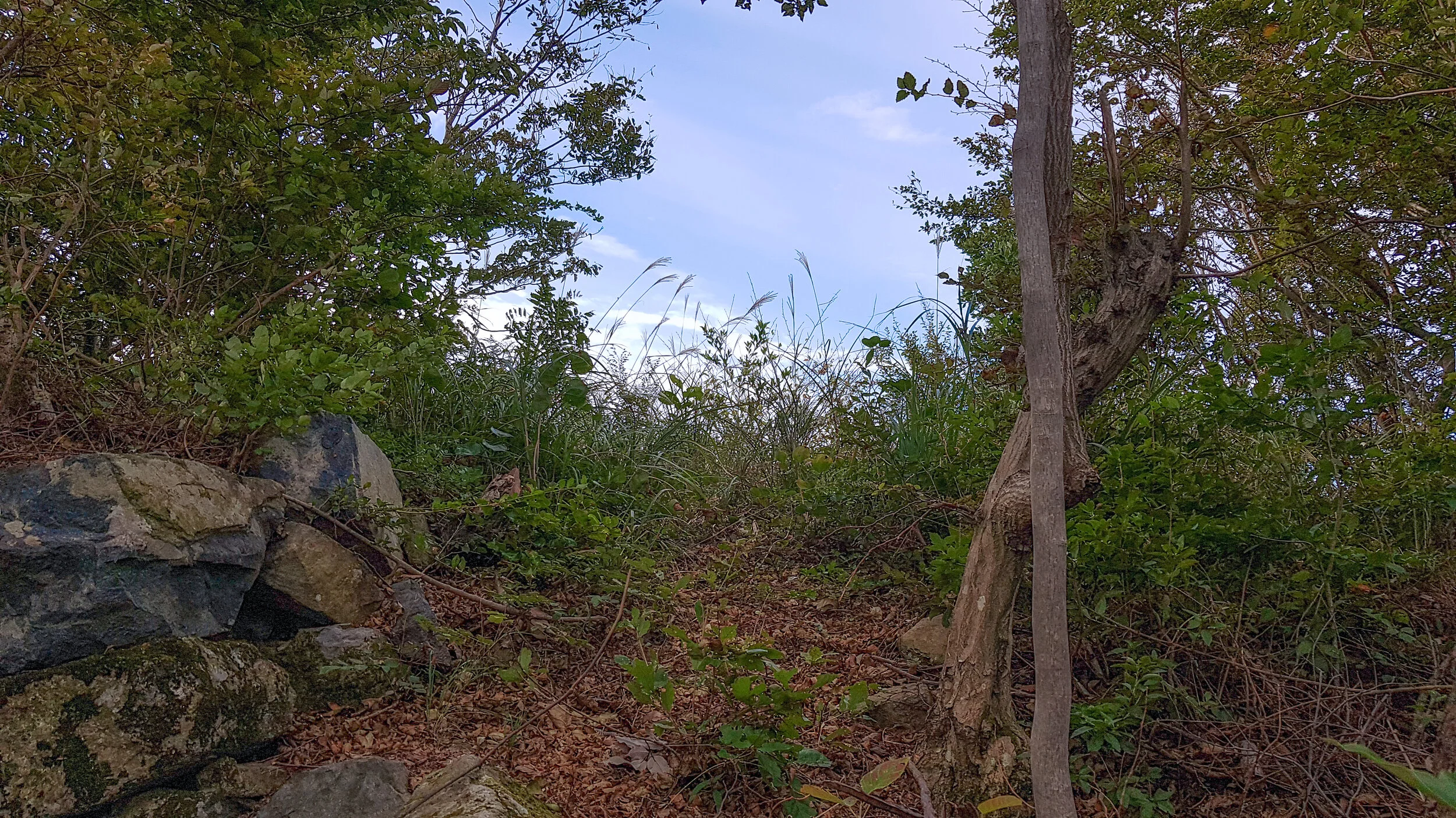 20191017_082134.jpg