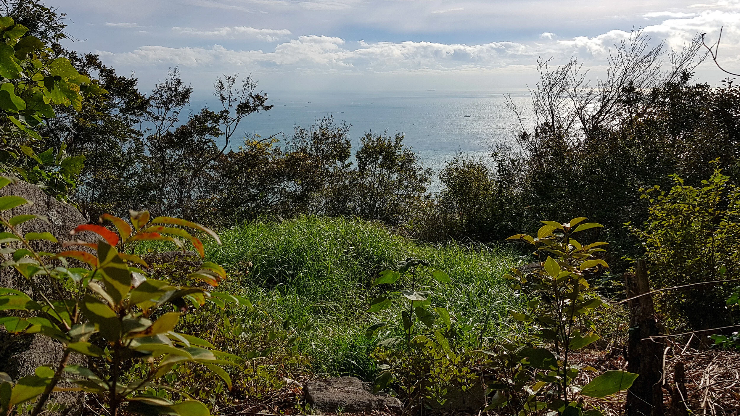 20191017_085305.jpg
