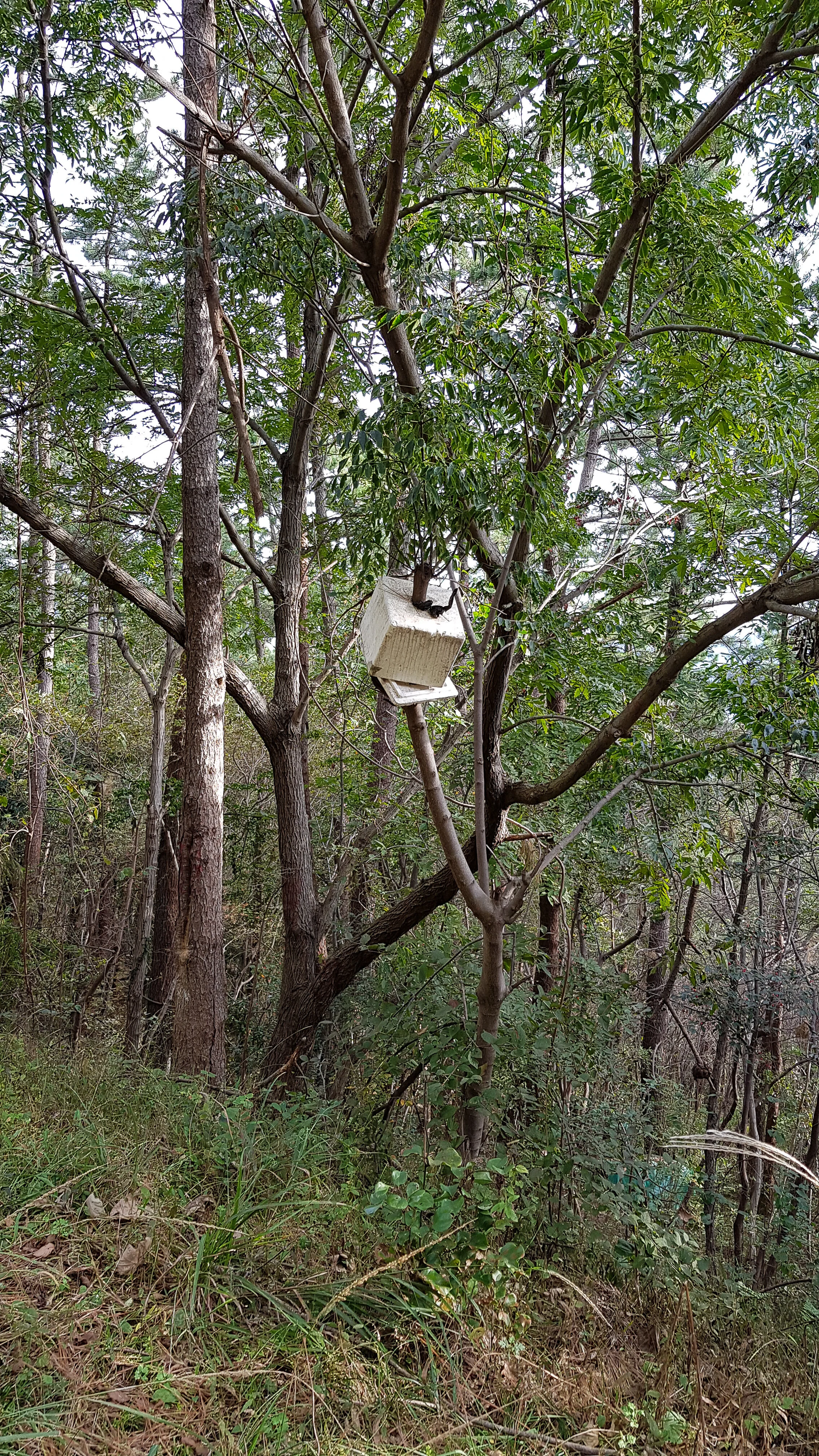 The trail is directly across from this “marker”.
