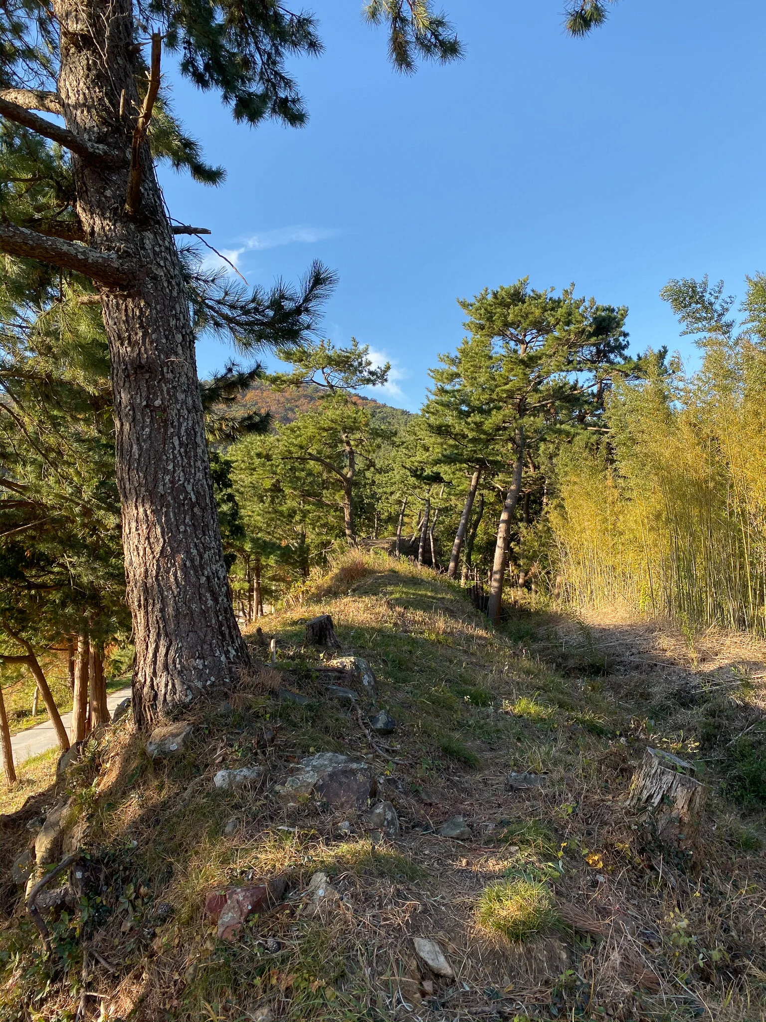 Walking along the old fortress wall.