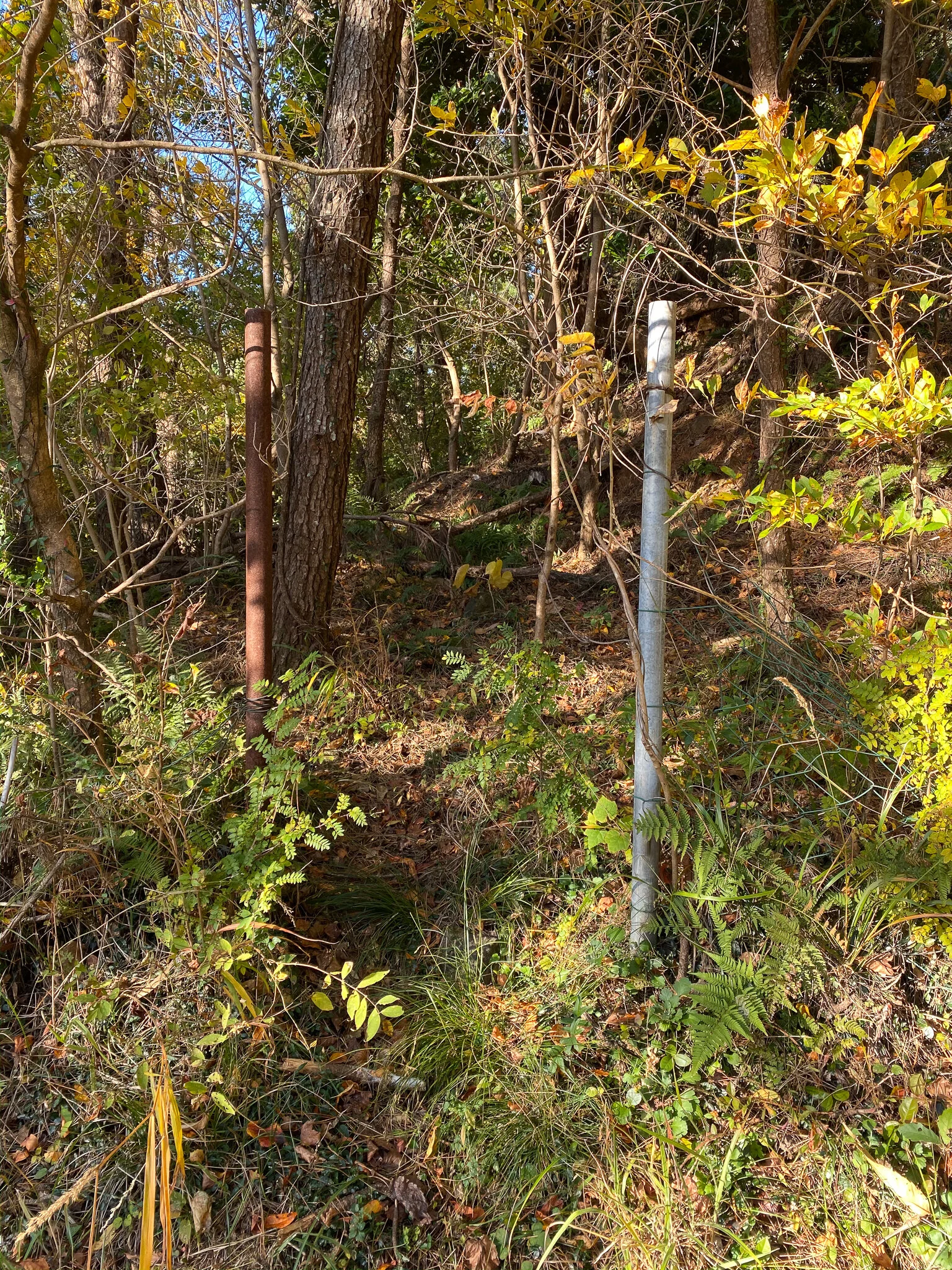 The “trail” start between these two metal posts.