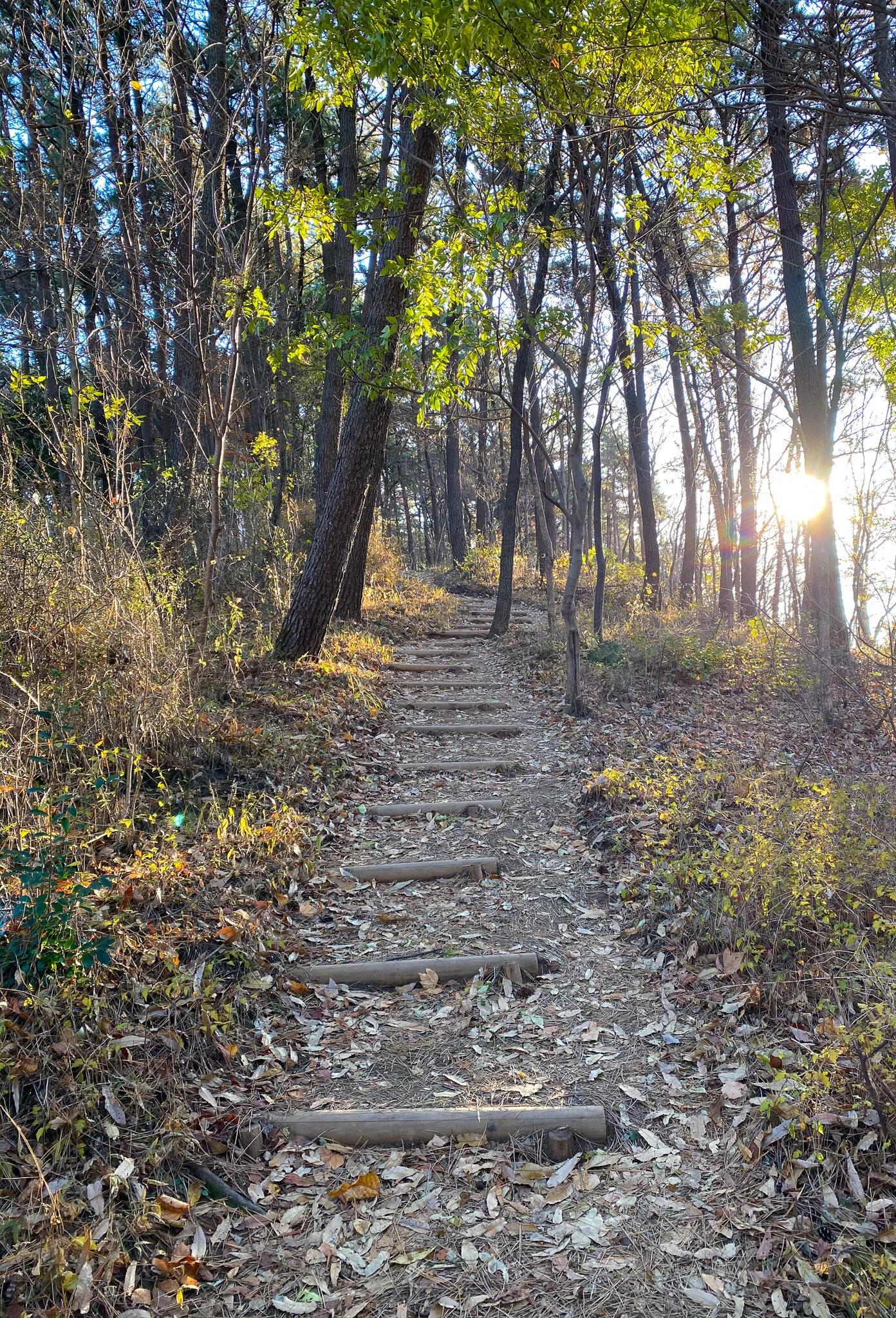 Morning light on the trail.