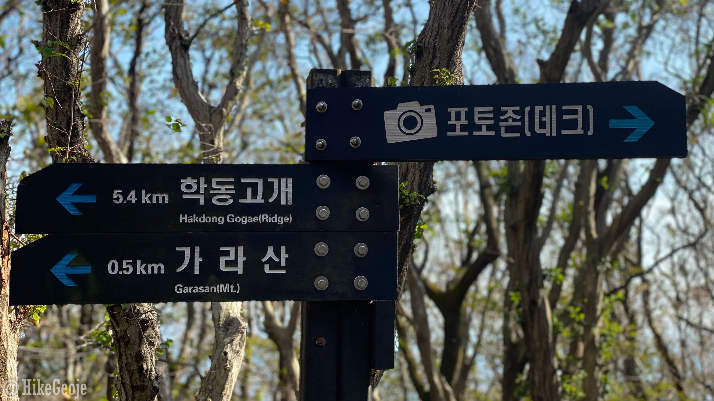 Follow that camera!
