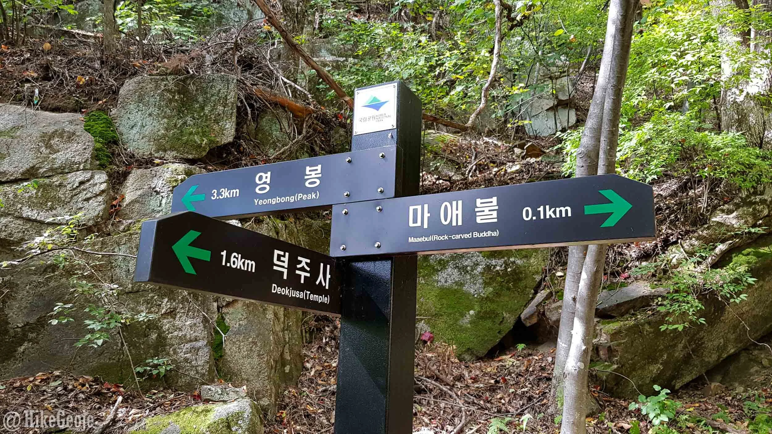 20191019_121616.jpg
