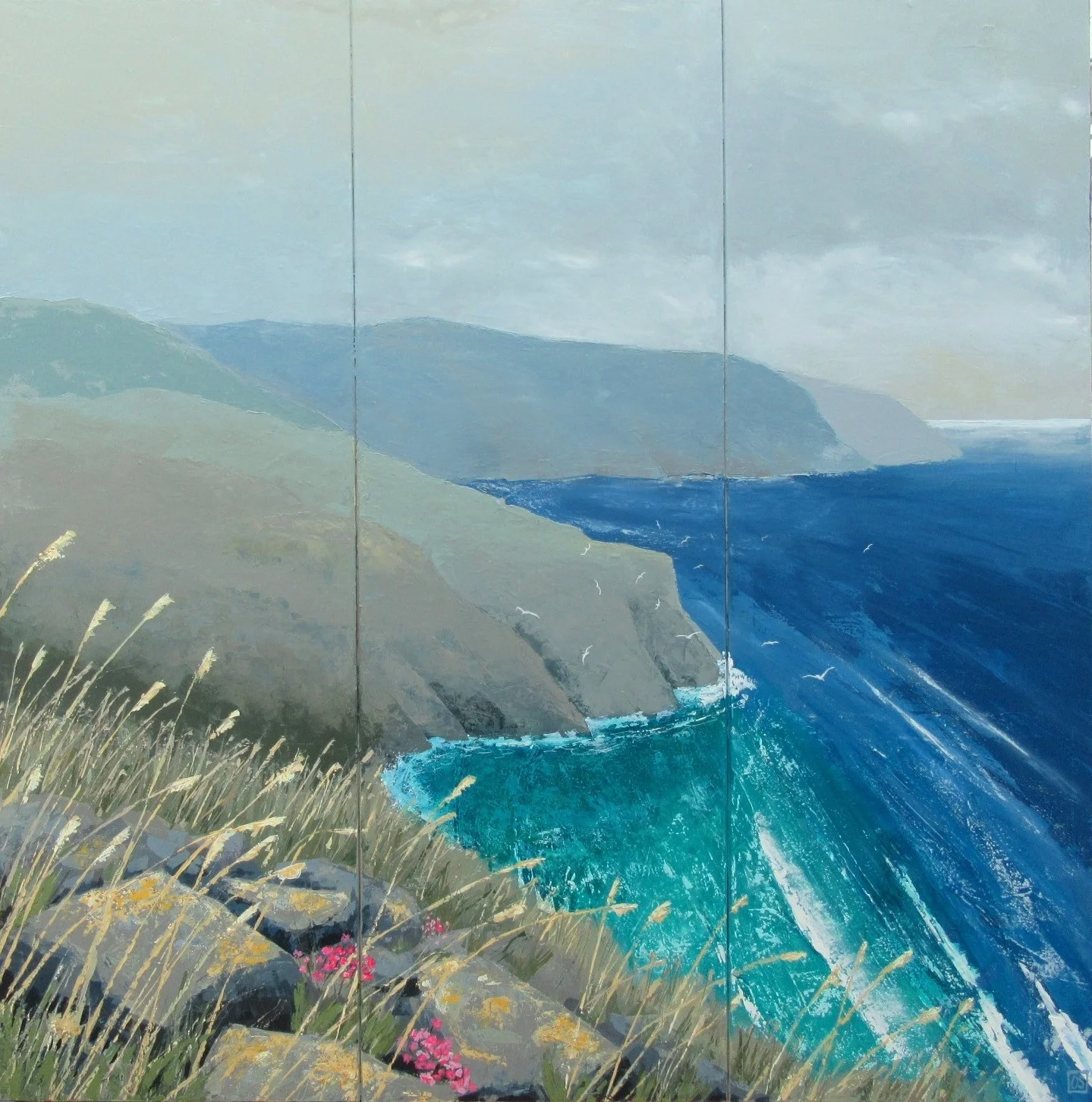 Cornwall Coast.ProperCare6.jpg