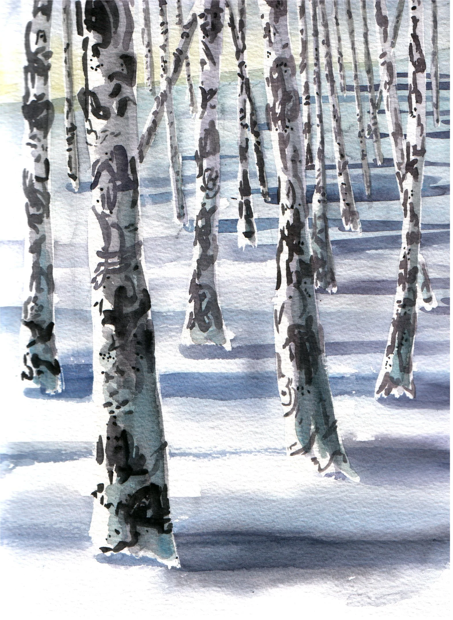 Winter Birchwood.JPG