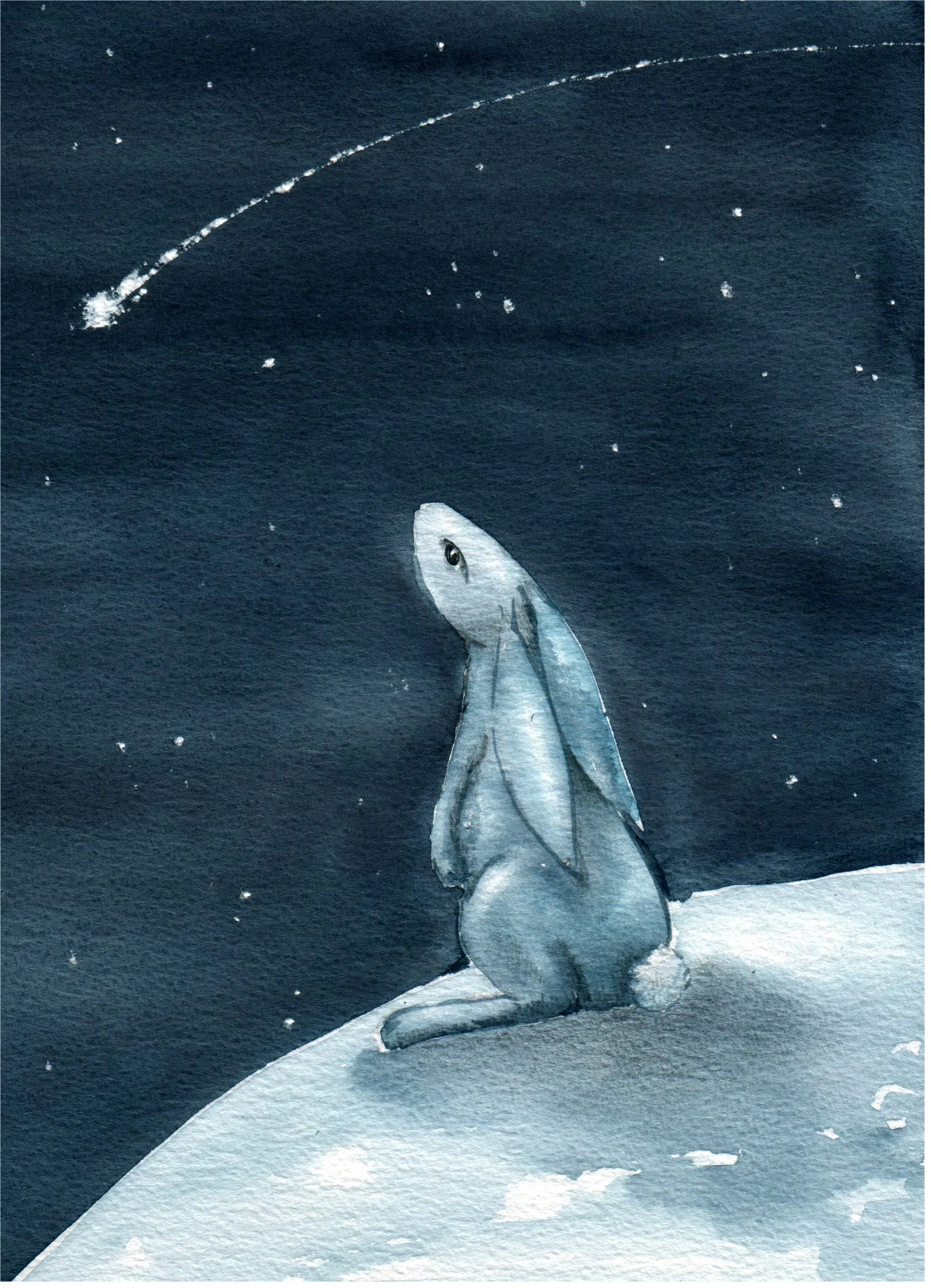 A wish.Hare & star.JPG