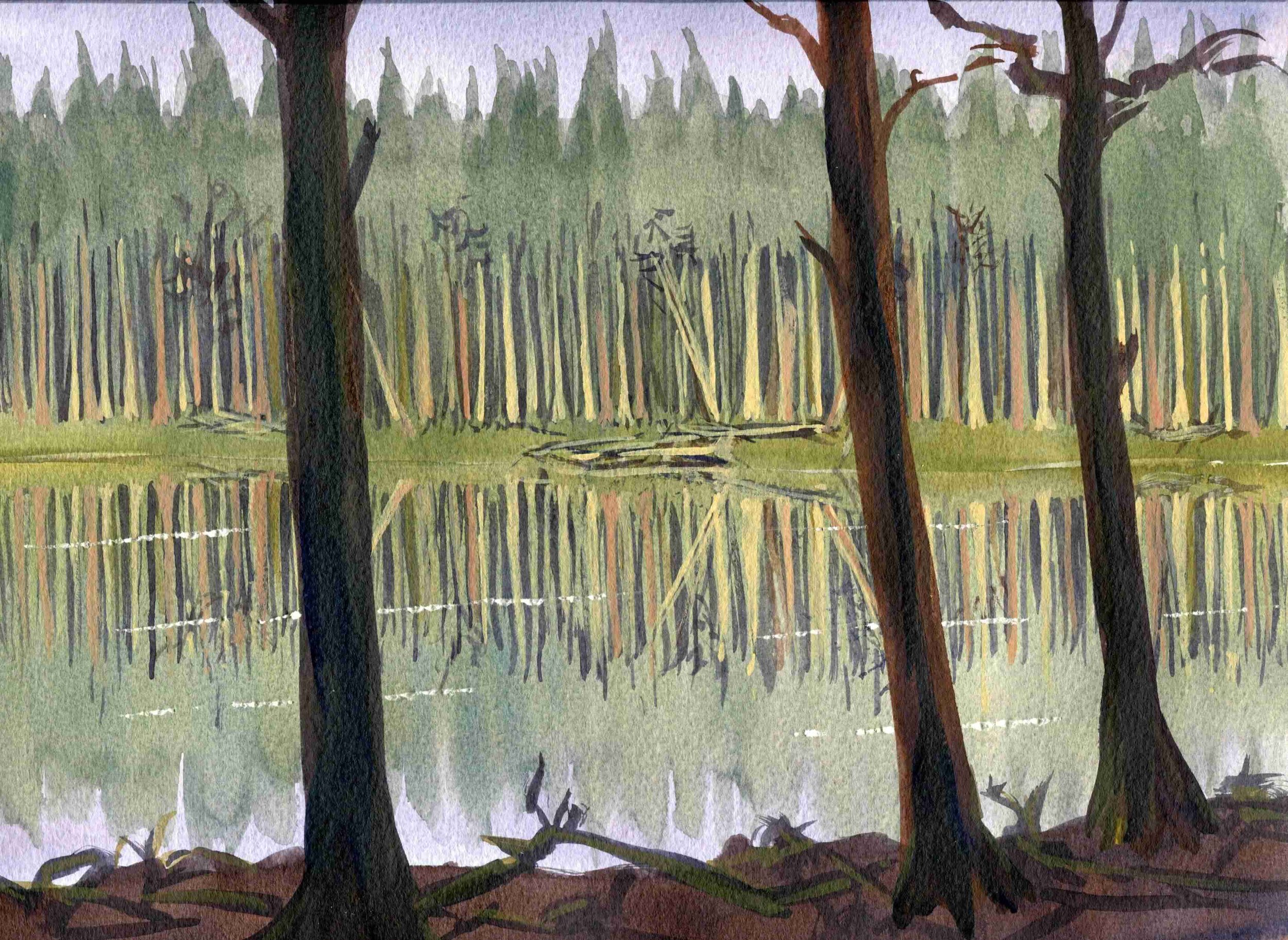 Autumn Scene5.jpg