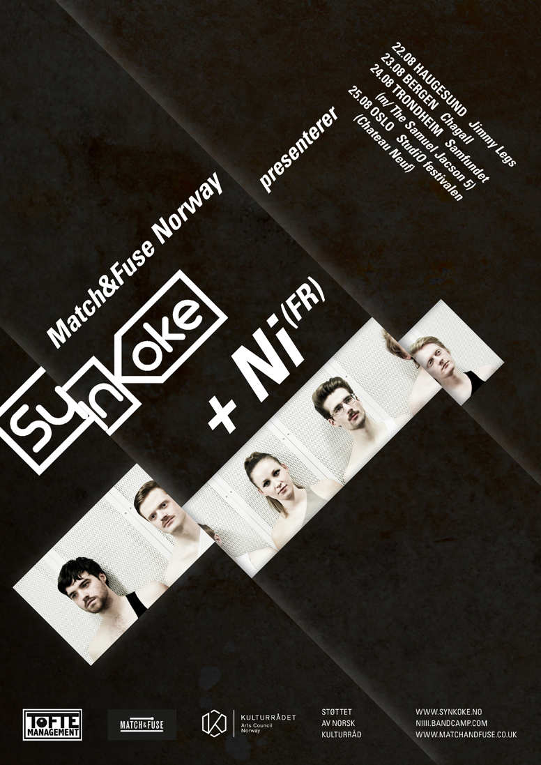 f8e6a-synkoke_ni_4.png