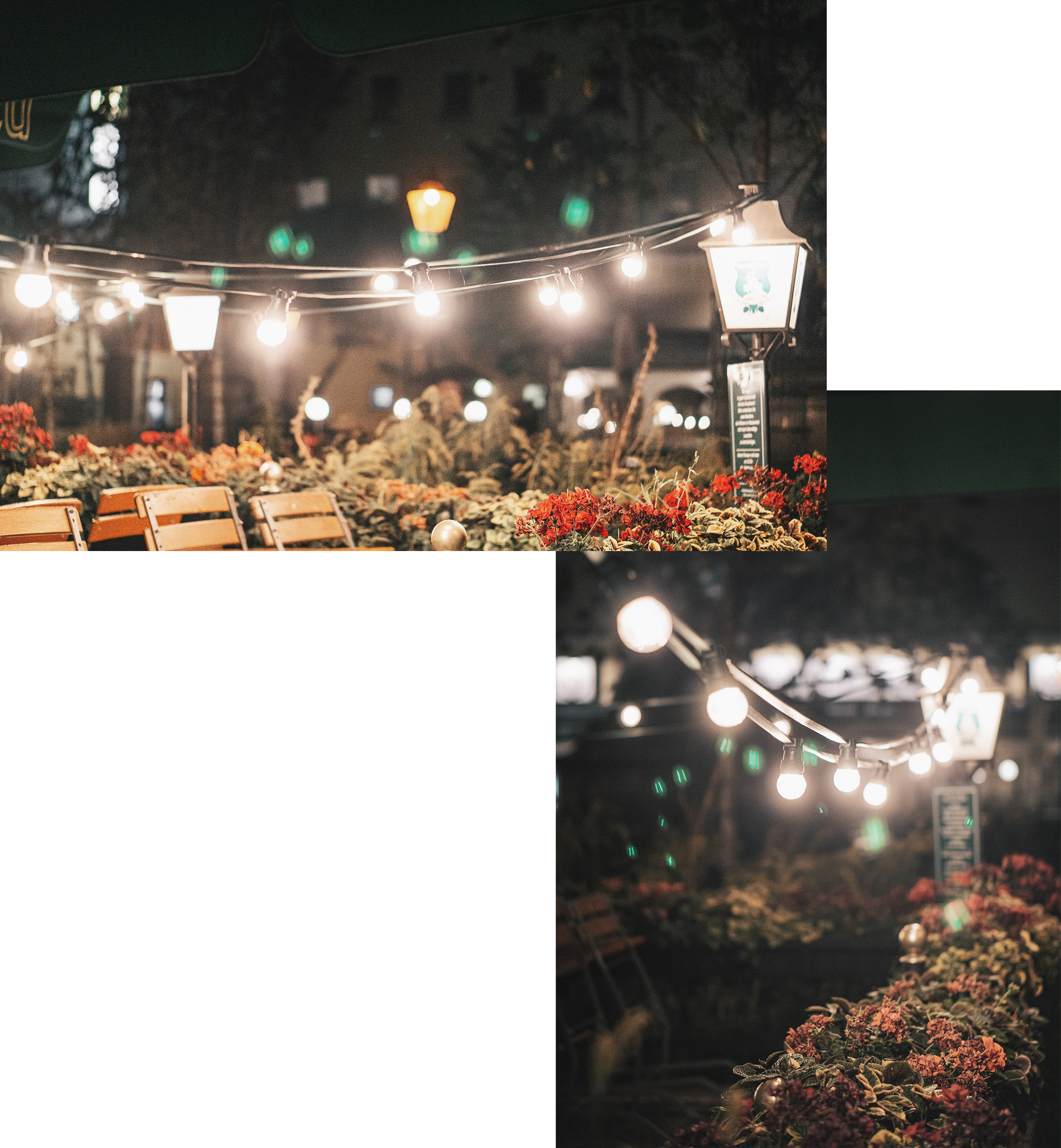 Berlin-Backyard-Collage.png