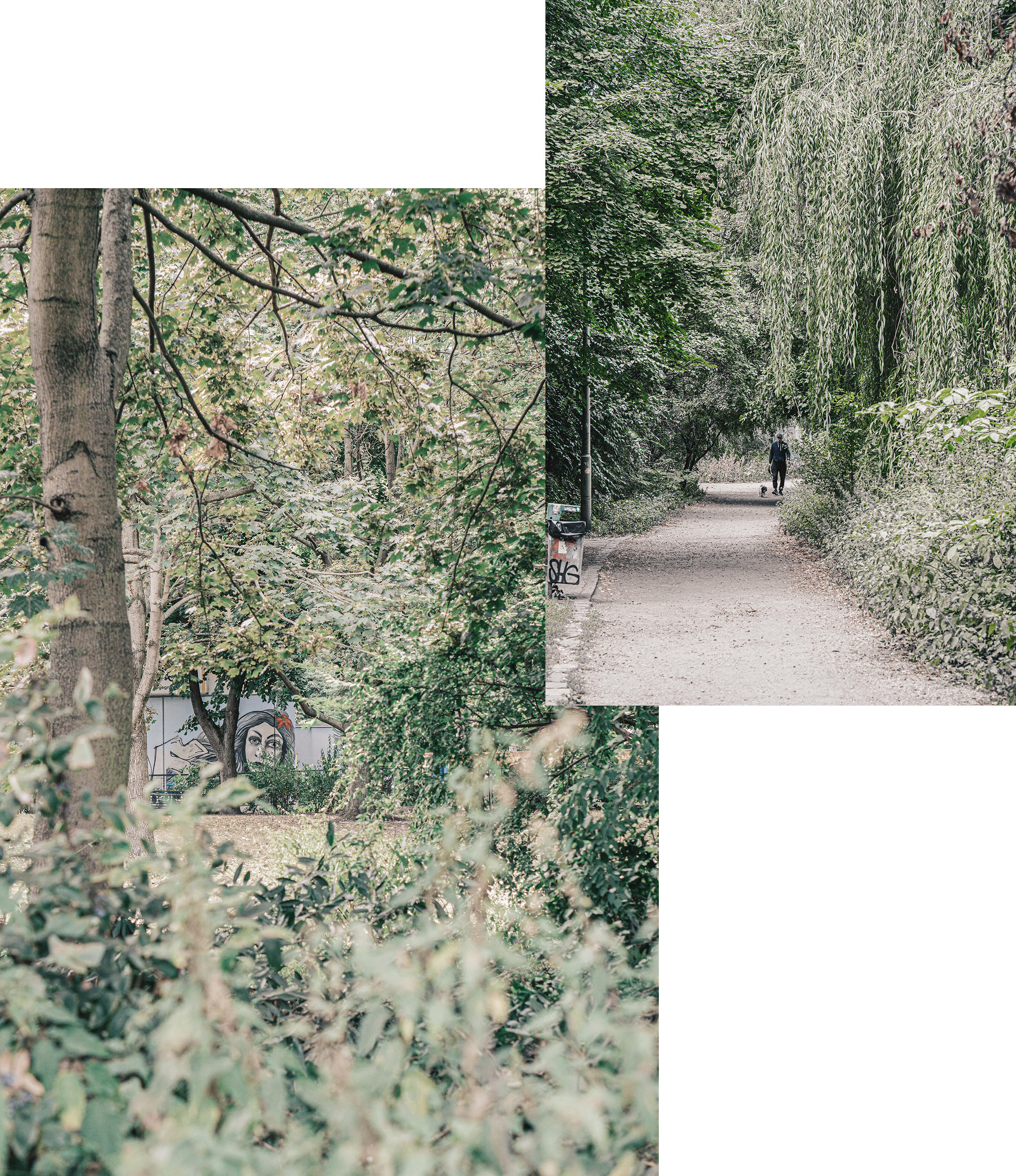 Park.png