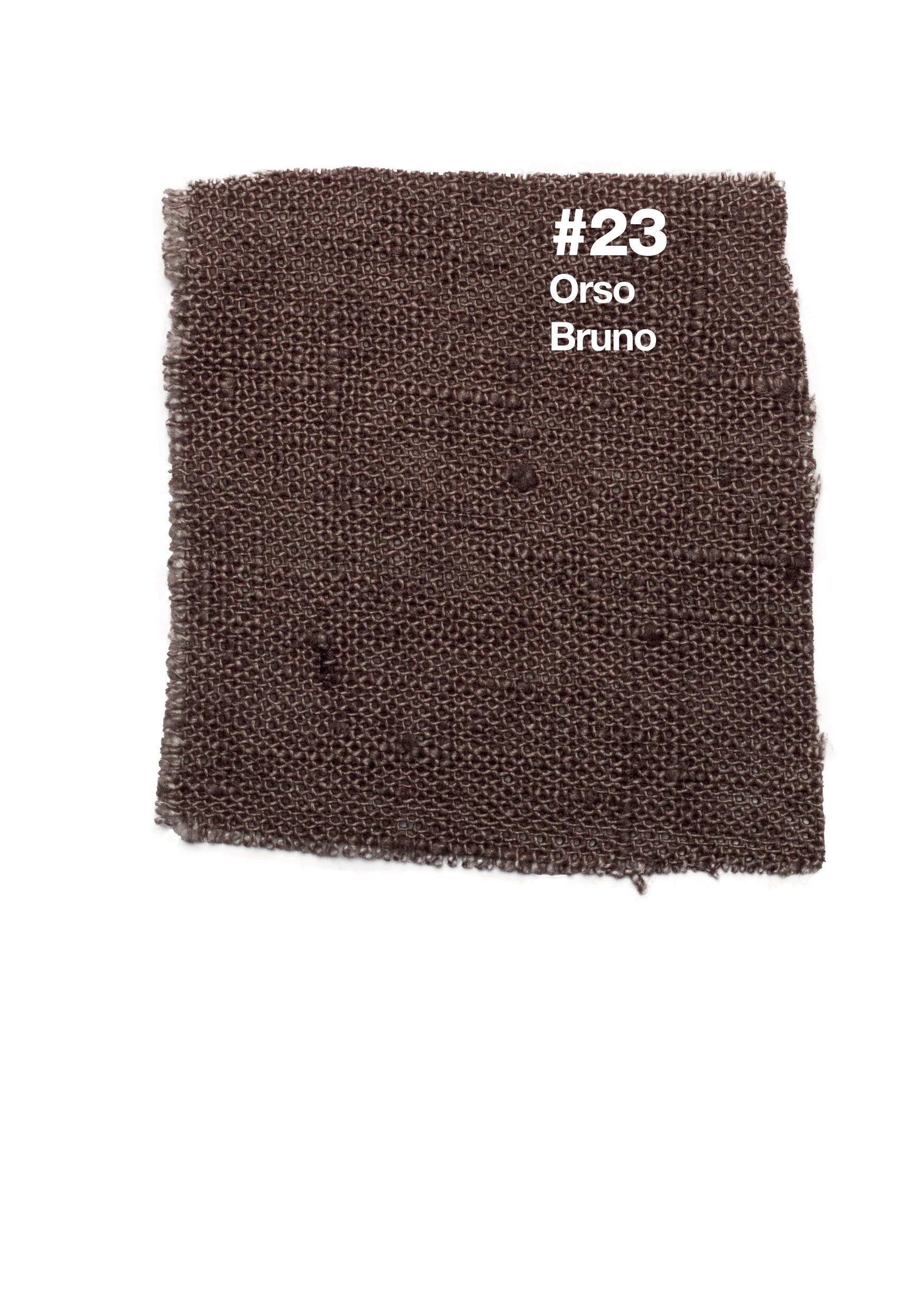 #23 Orso Bruno