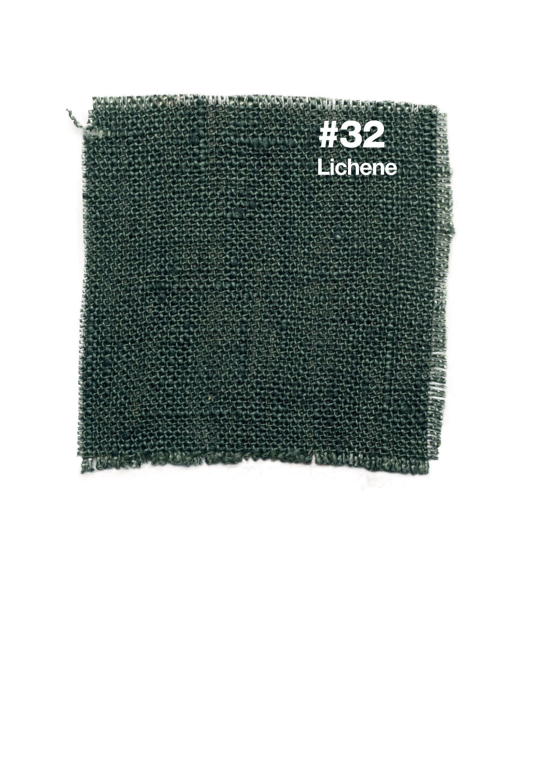 #32 Lichene 