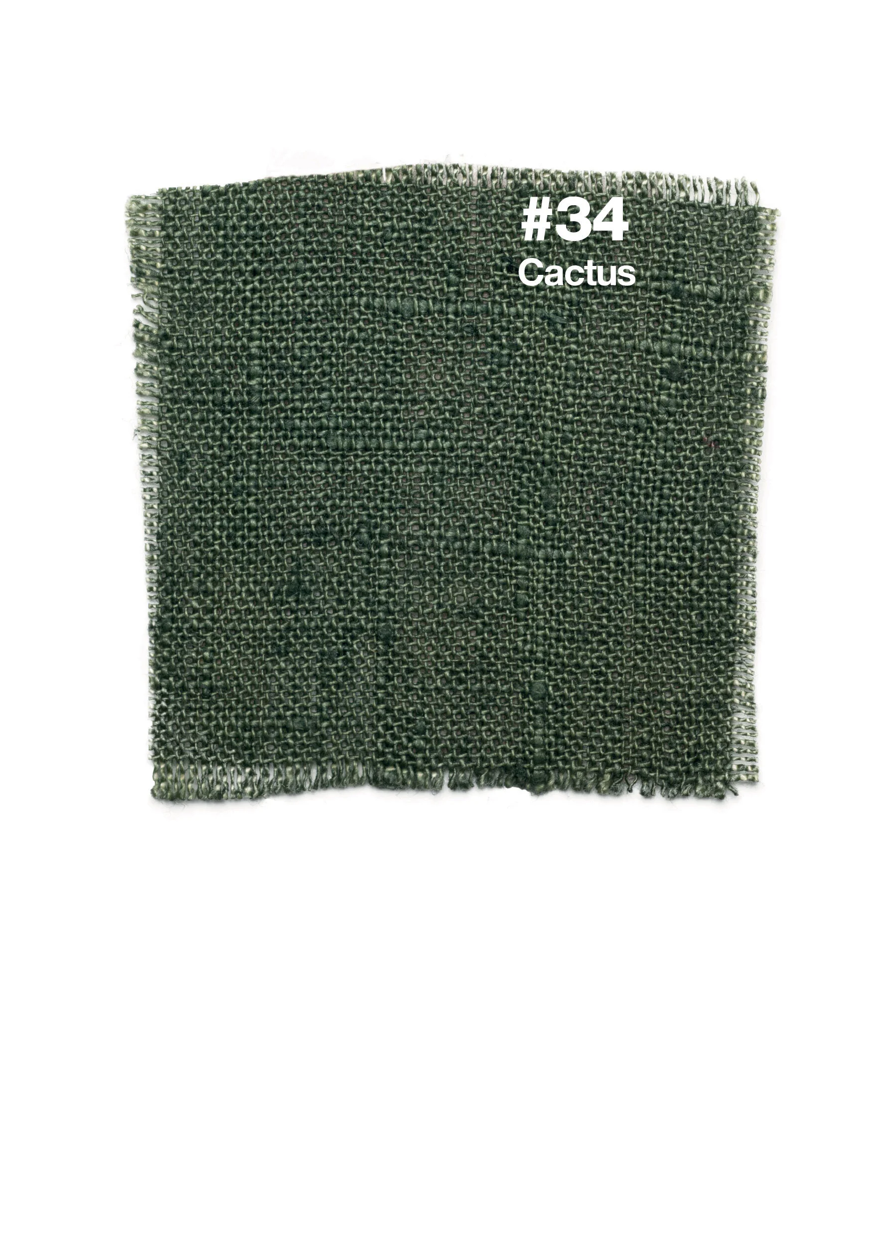#34 Cactus