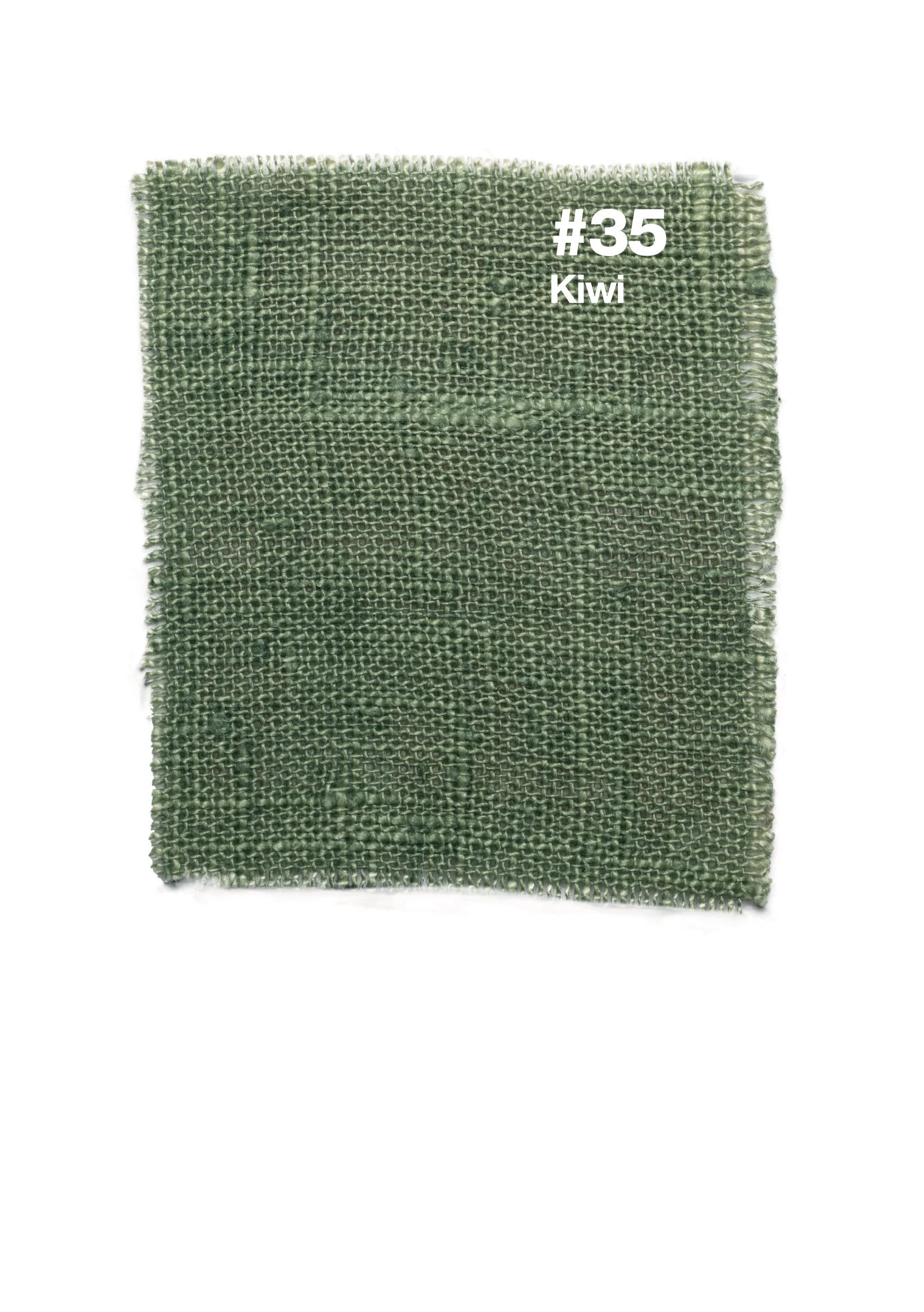 #35 Kiwi