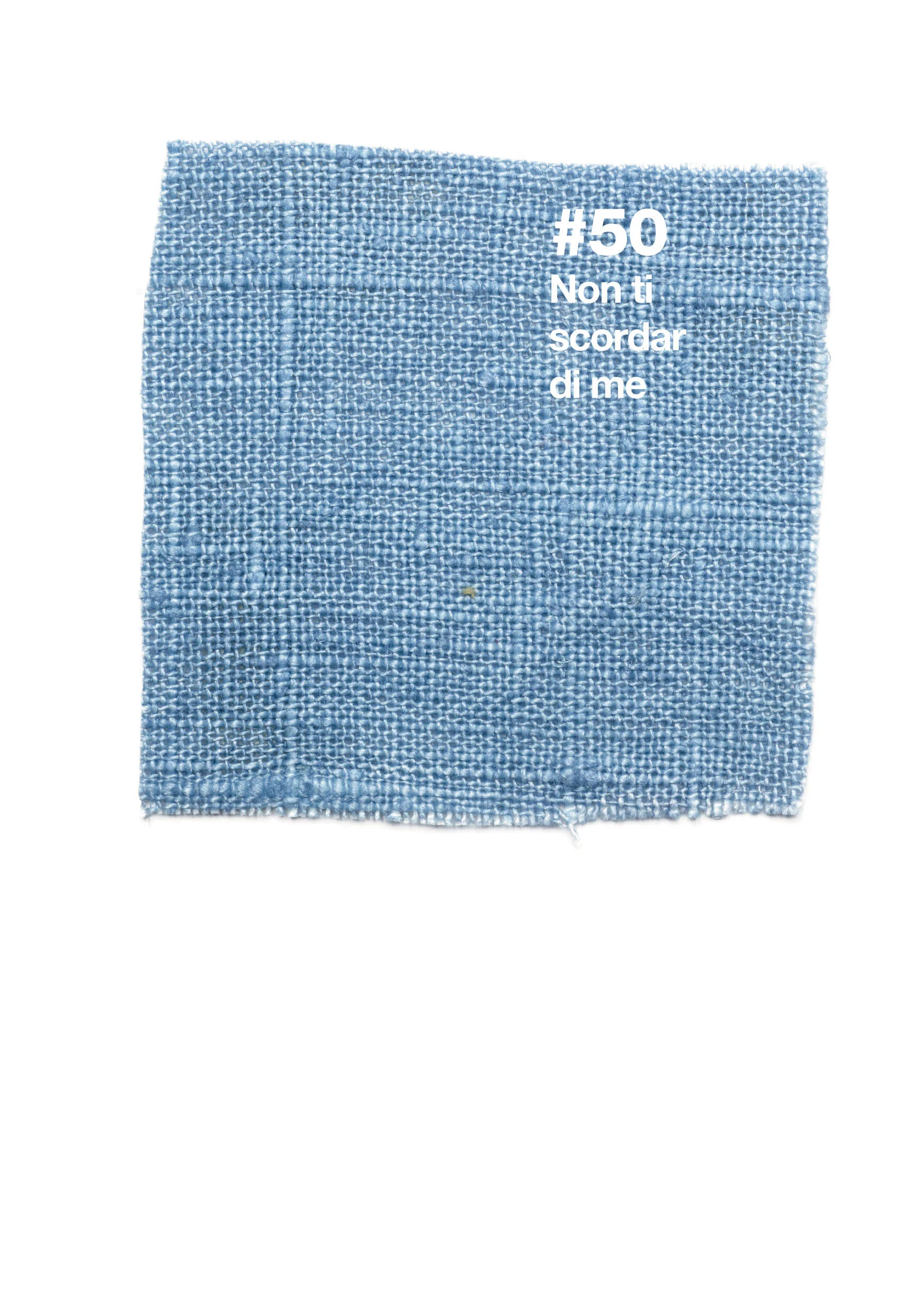 50_1.jpg