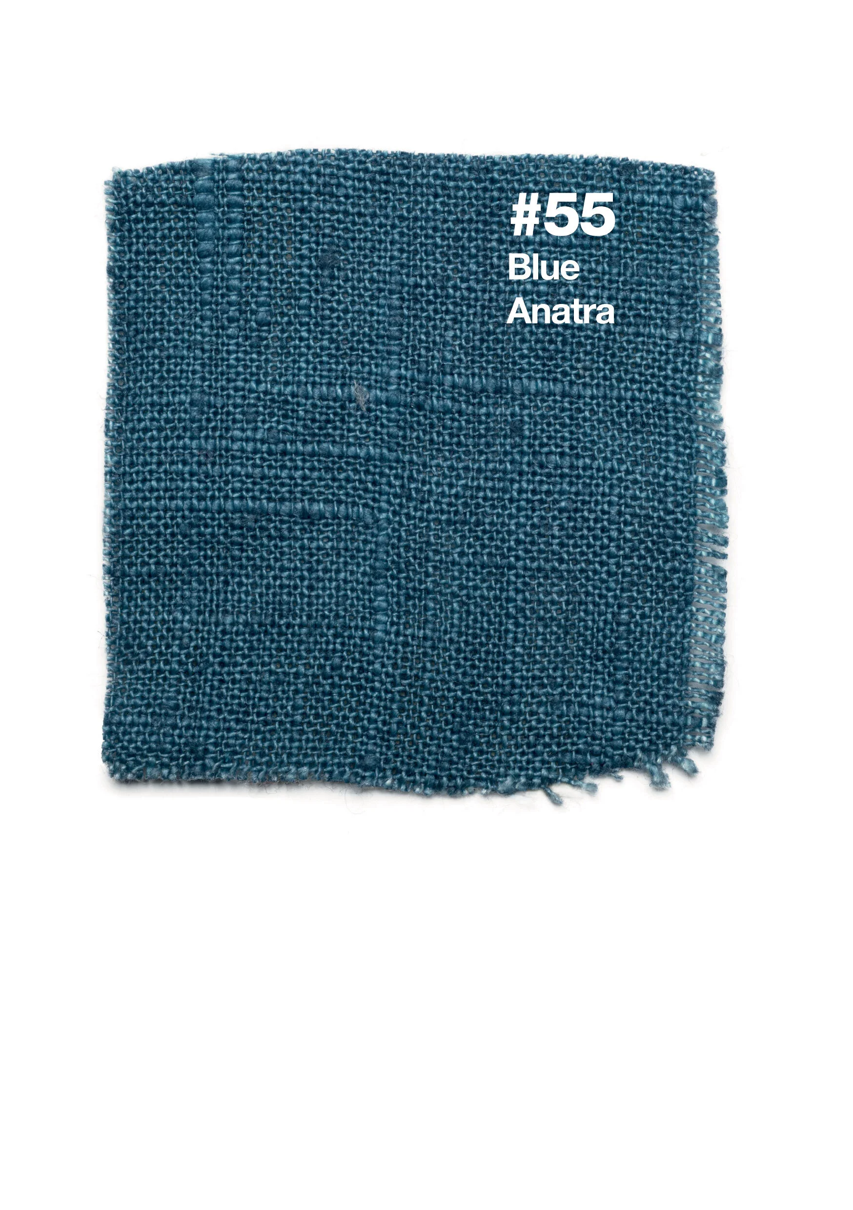 #55 Blue Anatra