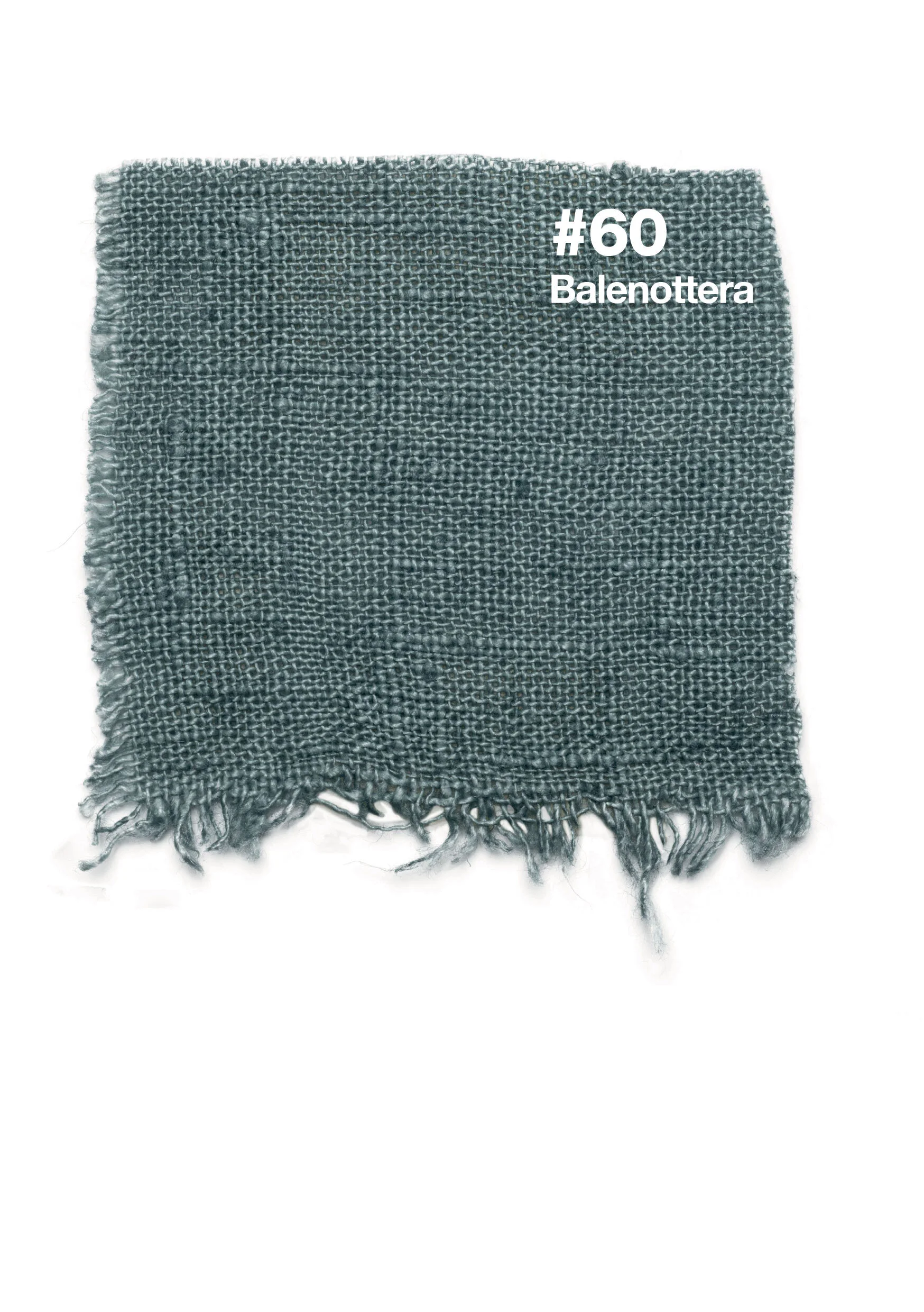 #60 Balenottera