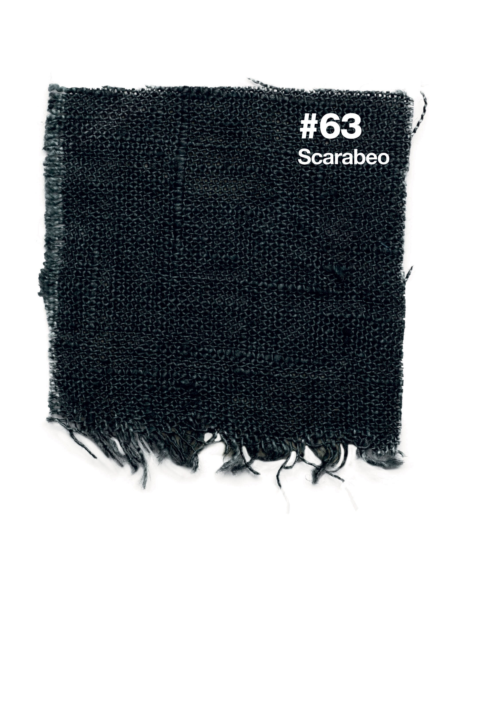 #63 Scarabeo