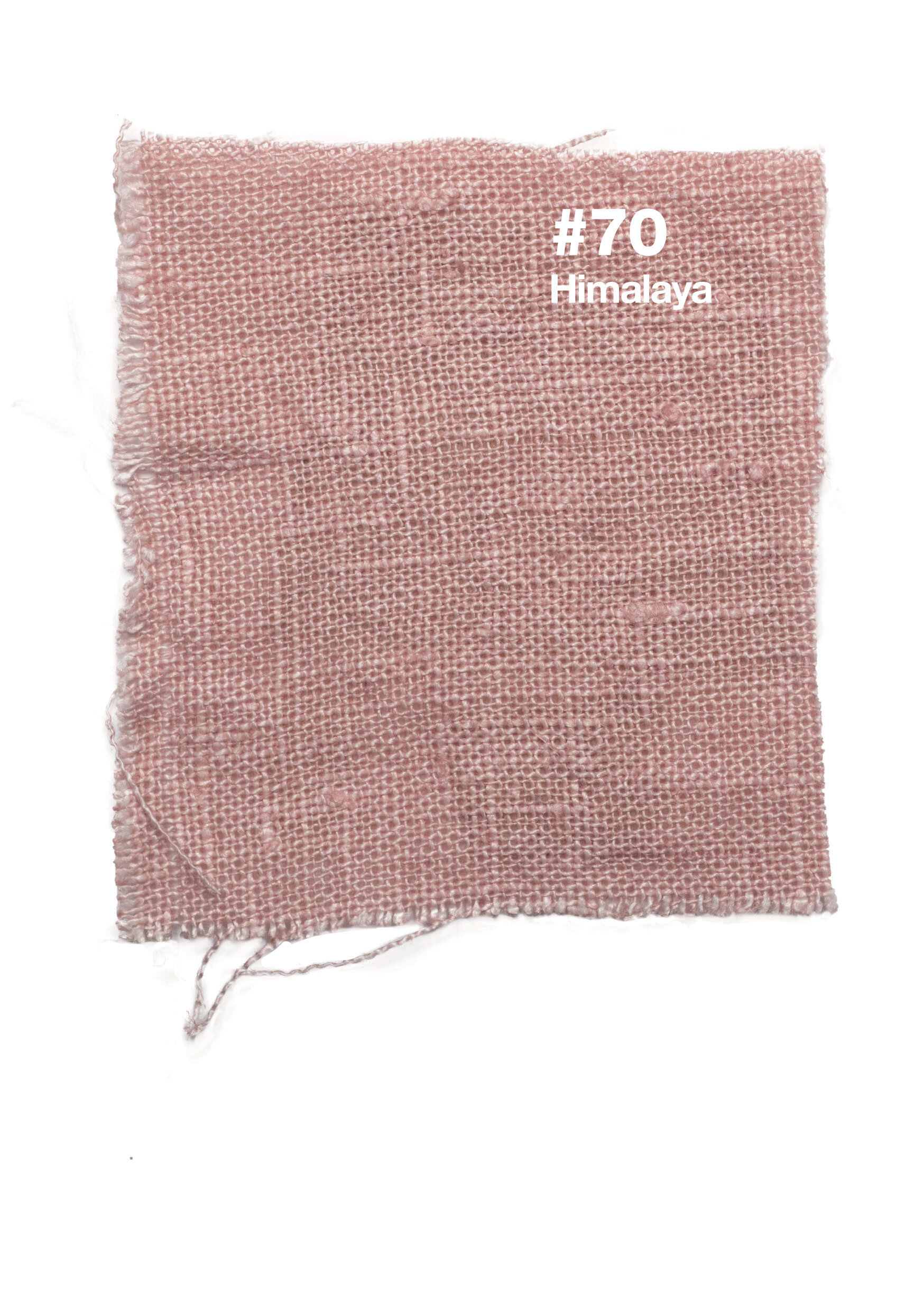 #70 Himalaya