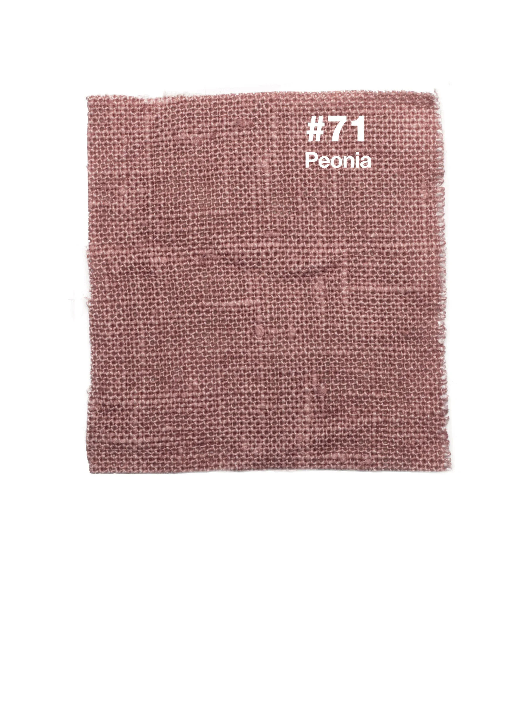#71 Peonia