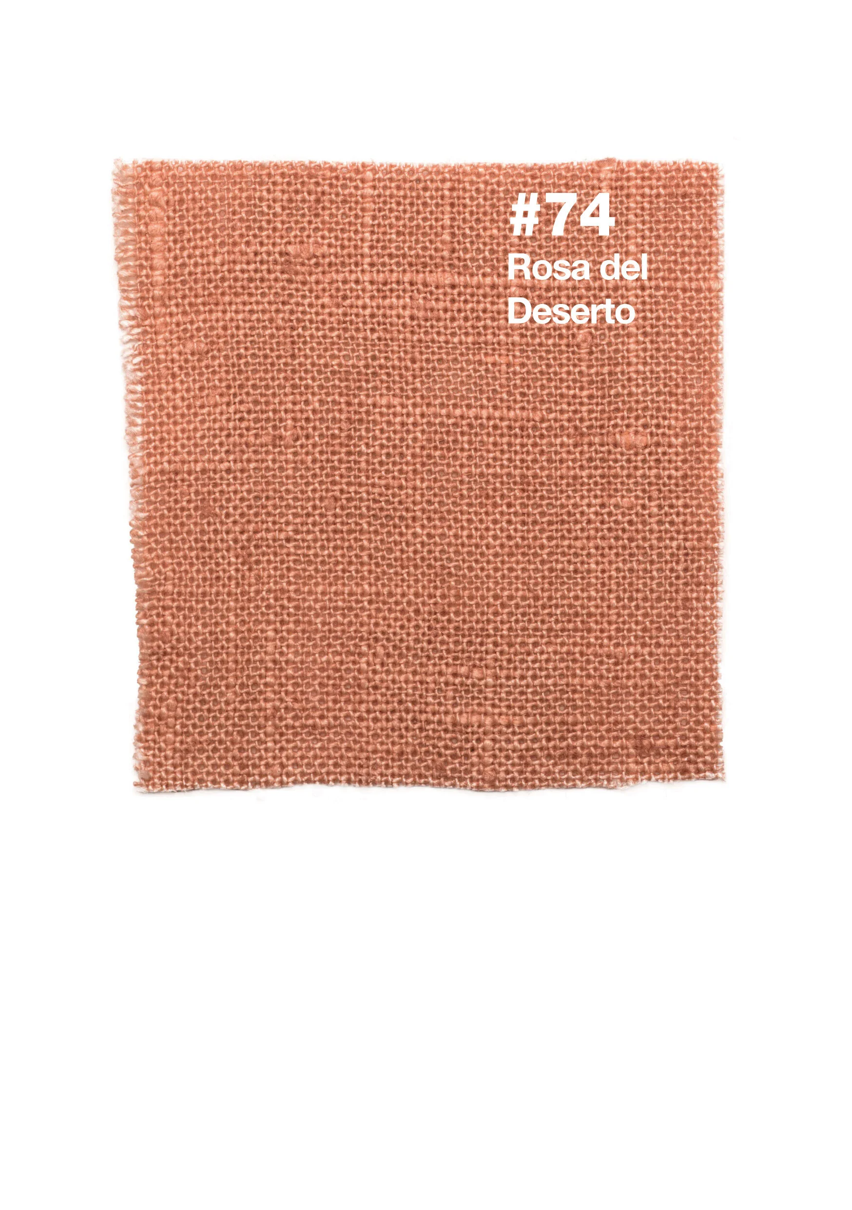 #74 Rosa del Deserto