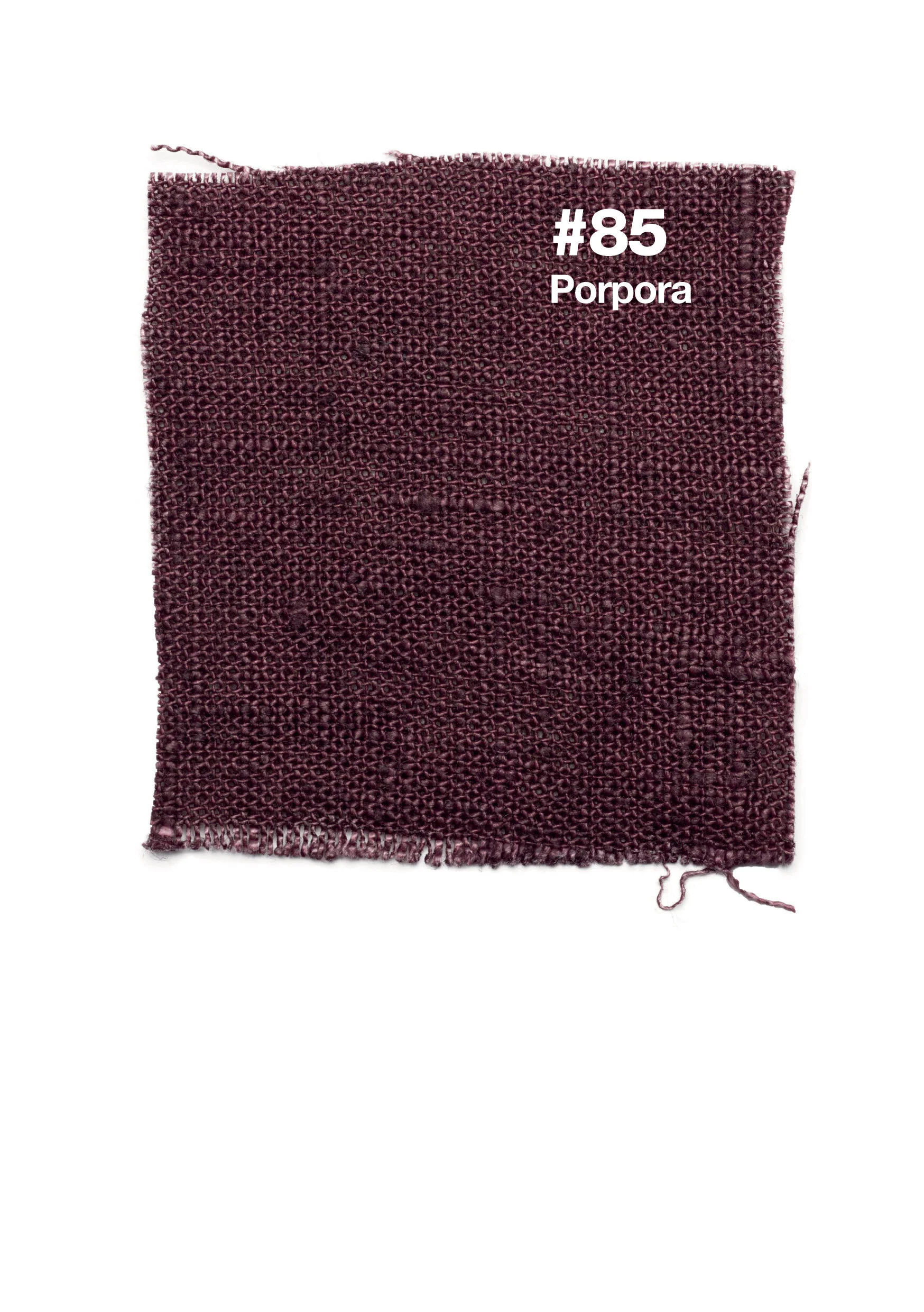 #85 Porpora