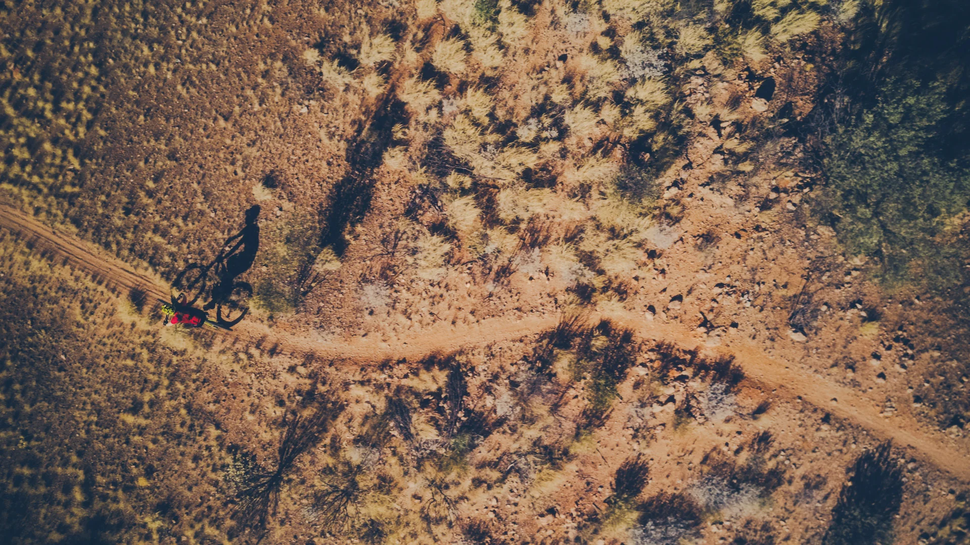 Flow MTB - Alice Springs 2017-0010.jpg