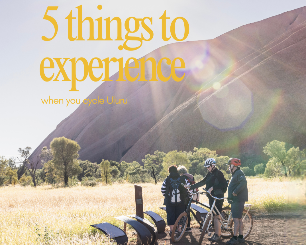 5 Things to Experience When You Cycle Uluru