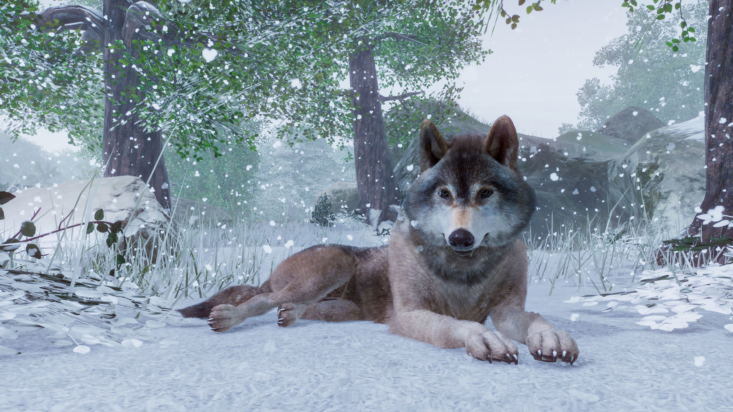 planetzoo_timberwolf1_4k.jpg