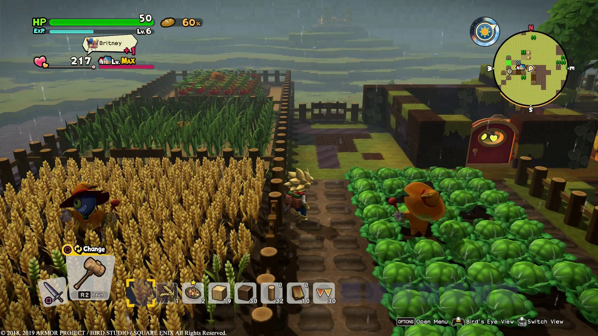 07_Boy_Farm.jpg