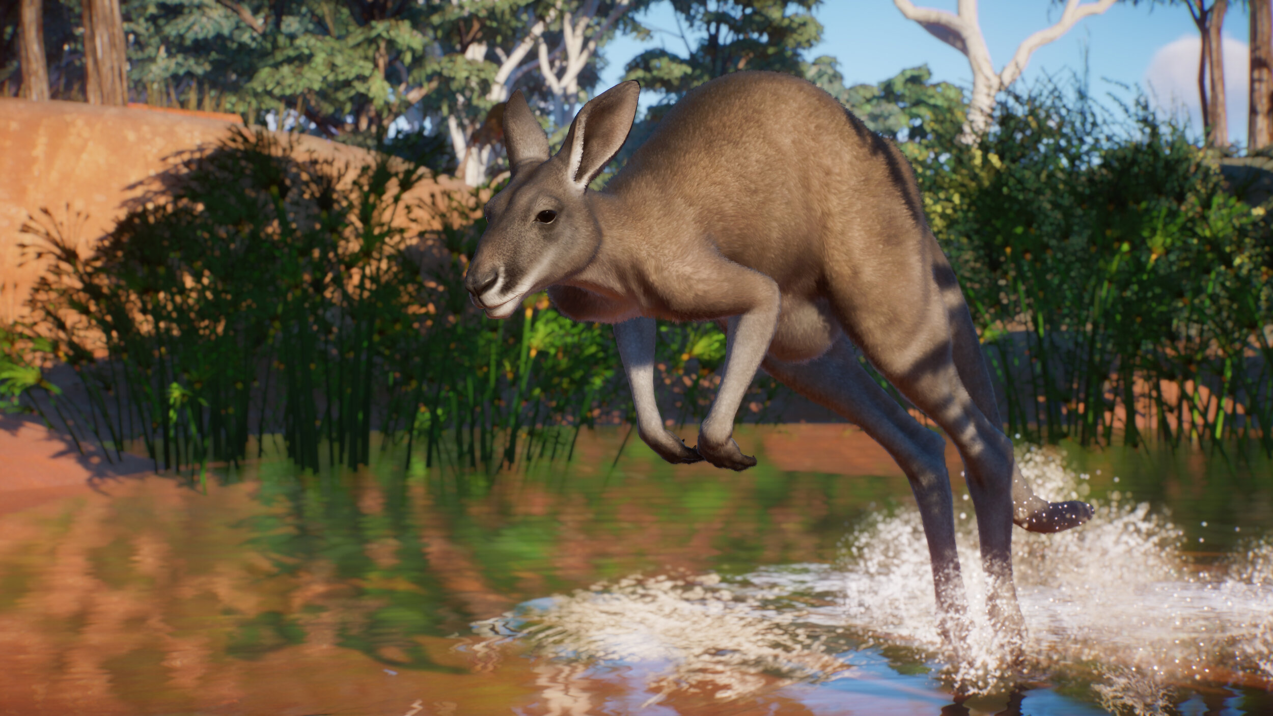 PZ_Australia_Paid_Screenshots_Kangaroo_01_3840x2160.jpg