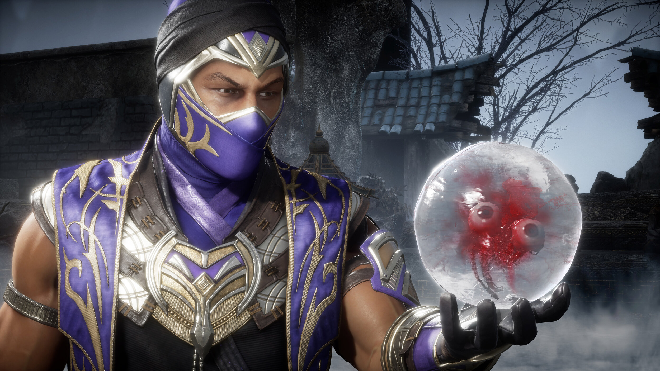 Mortal Kombat 11 Ultimate_Rain_1.jpg