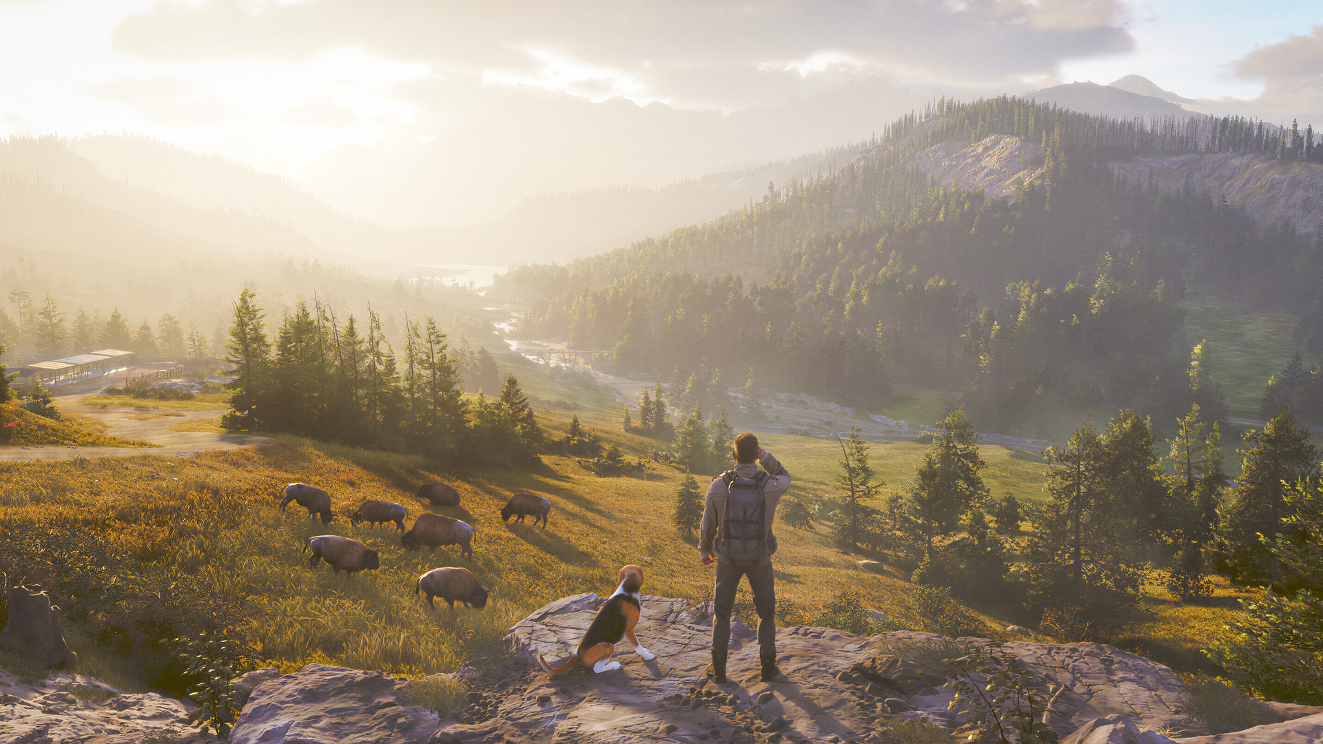 Those dogs can hunt as Way of the Hunter 2 has been announced