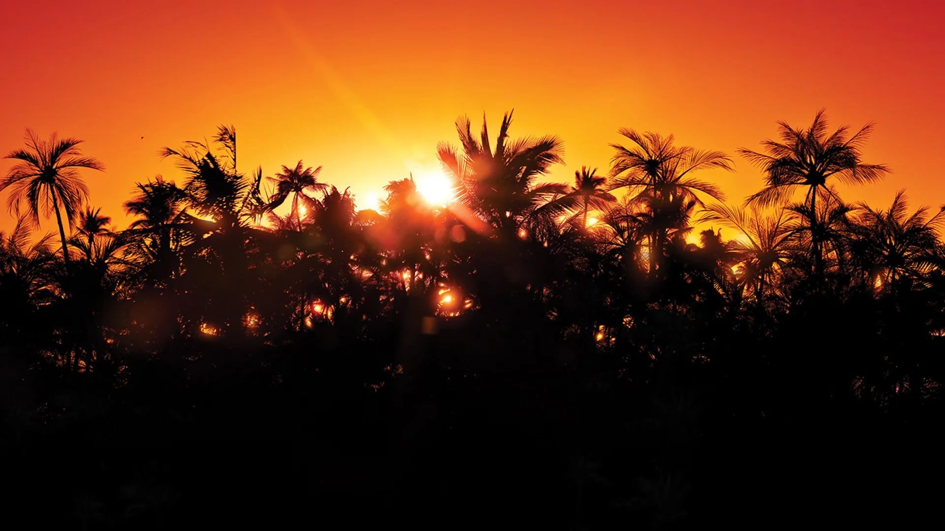 Jurassic Park Classic Games Collection is bring removed from digital stores next month