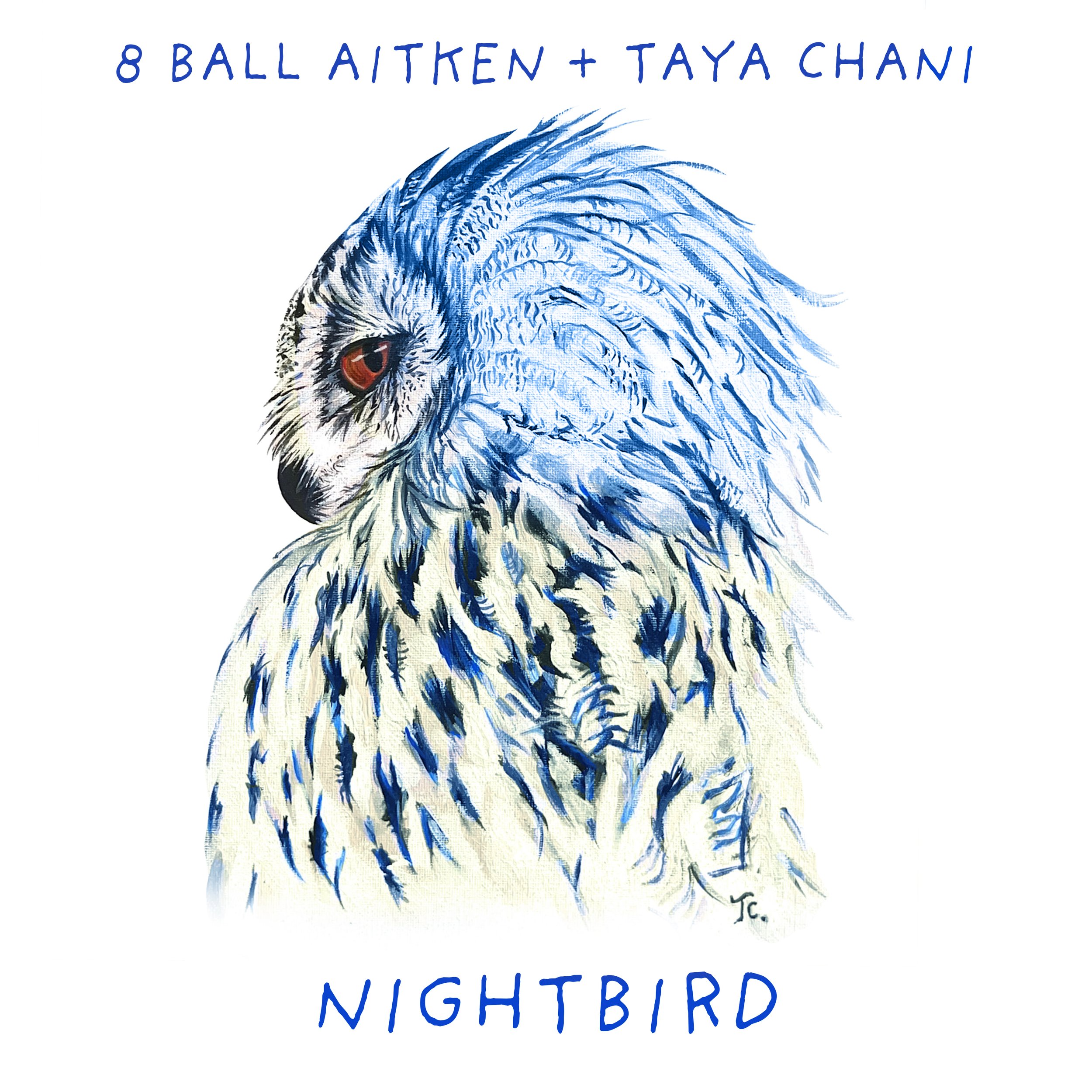 'NIGHTBIRD' NEW ALBUM (2025 RELEASE)