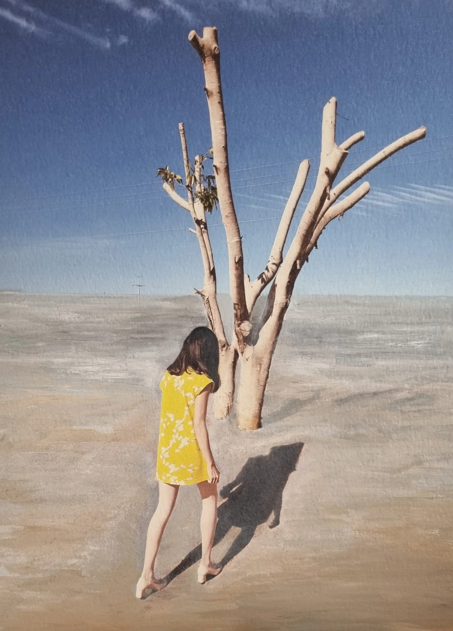 WhatsApp Image 2026-03-24 at 21.25.53 (2).jpeg