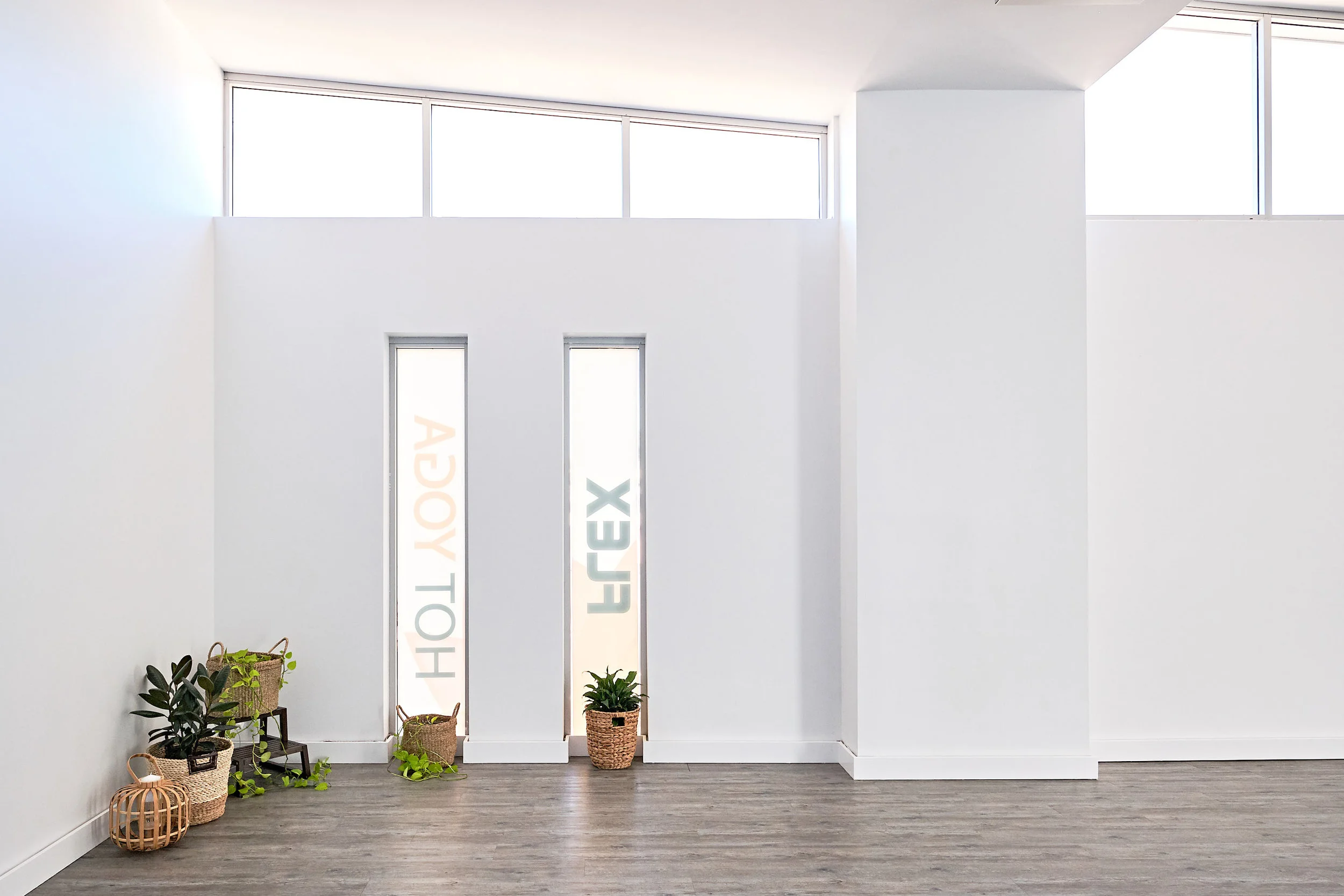 Backdrop 3.jpg